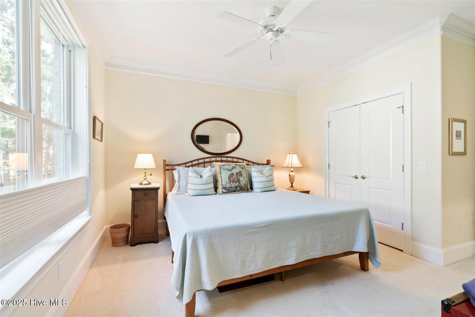 100518615 | Photo 58