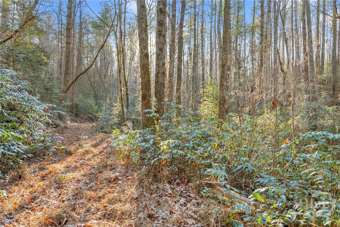 Shoal Creek Tract Habersham County