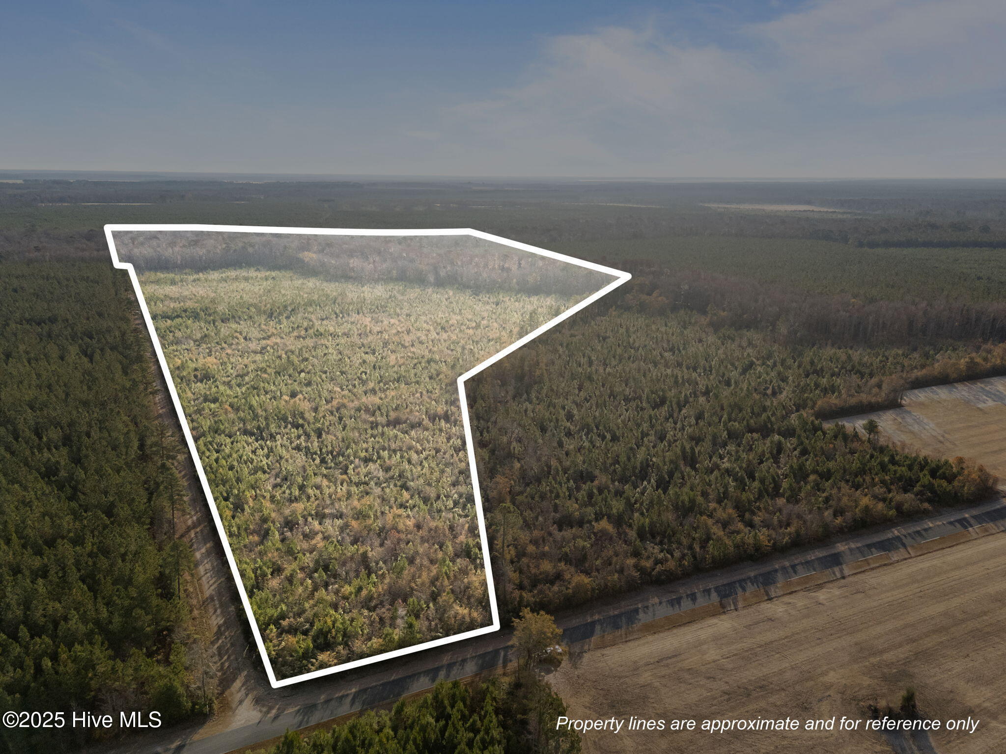 Homes for sale in Aurora, NC | 0 Sr 1934, Aurora, NC 27806 | MLS# 100543637