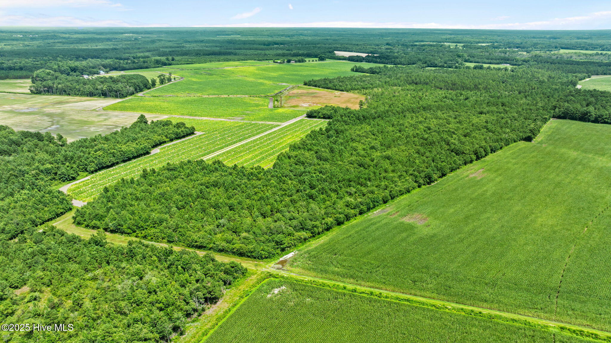 0 Green Sea Road, Garland, NC, 28441