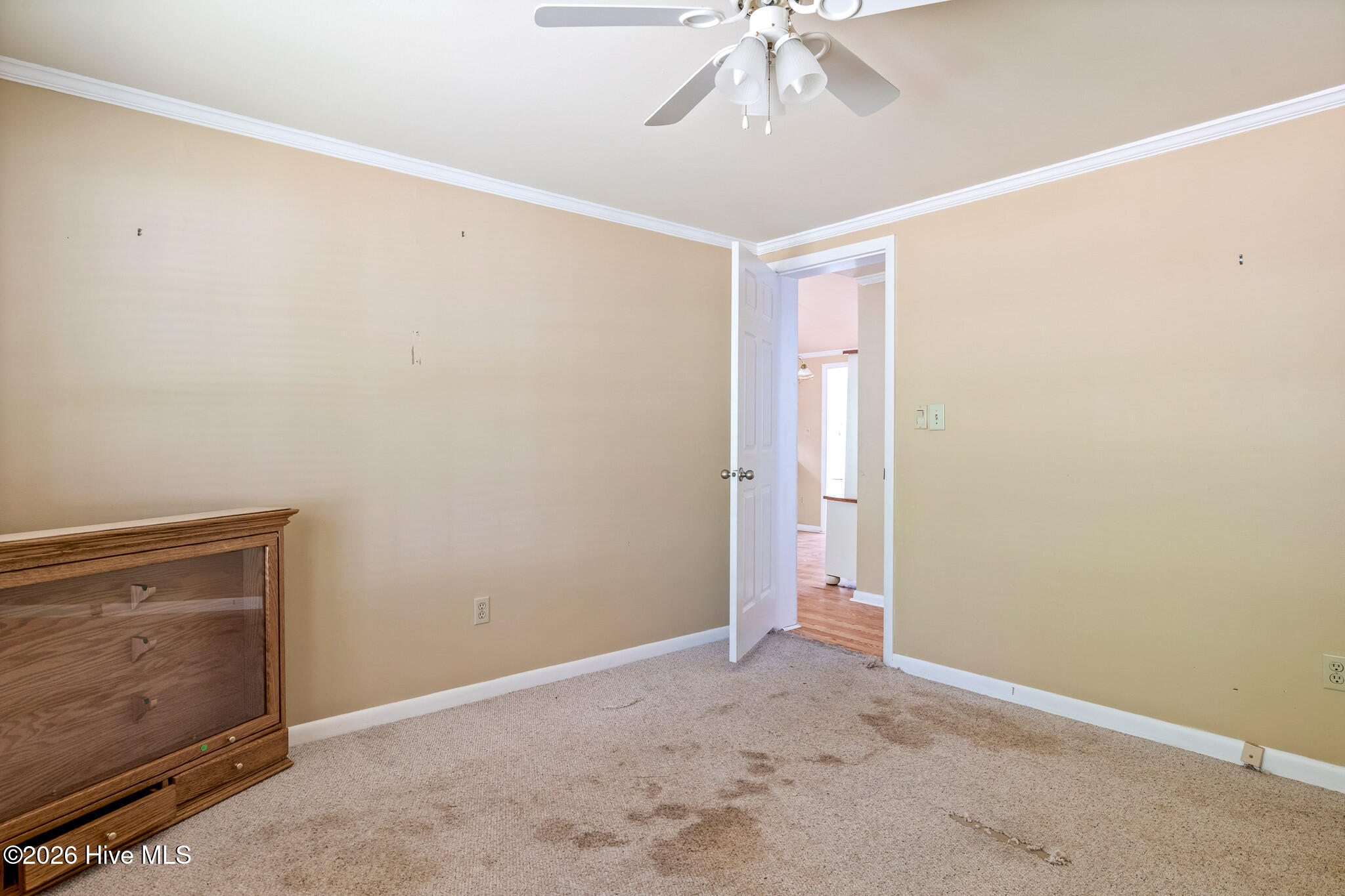 100567029 | Photo 24