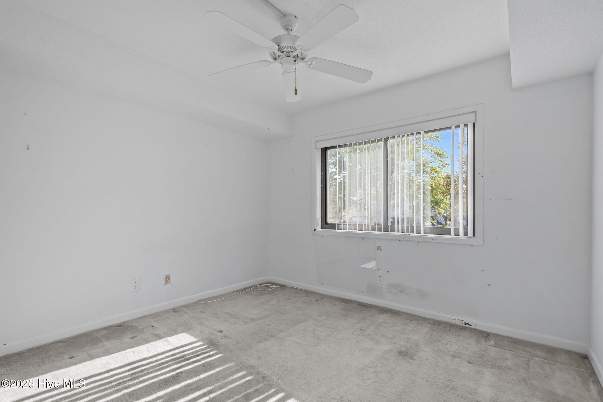 100568499 | Photo 13