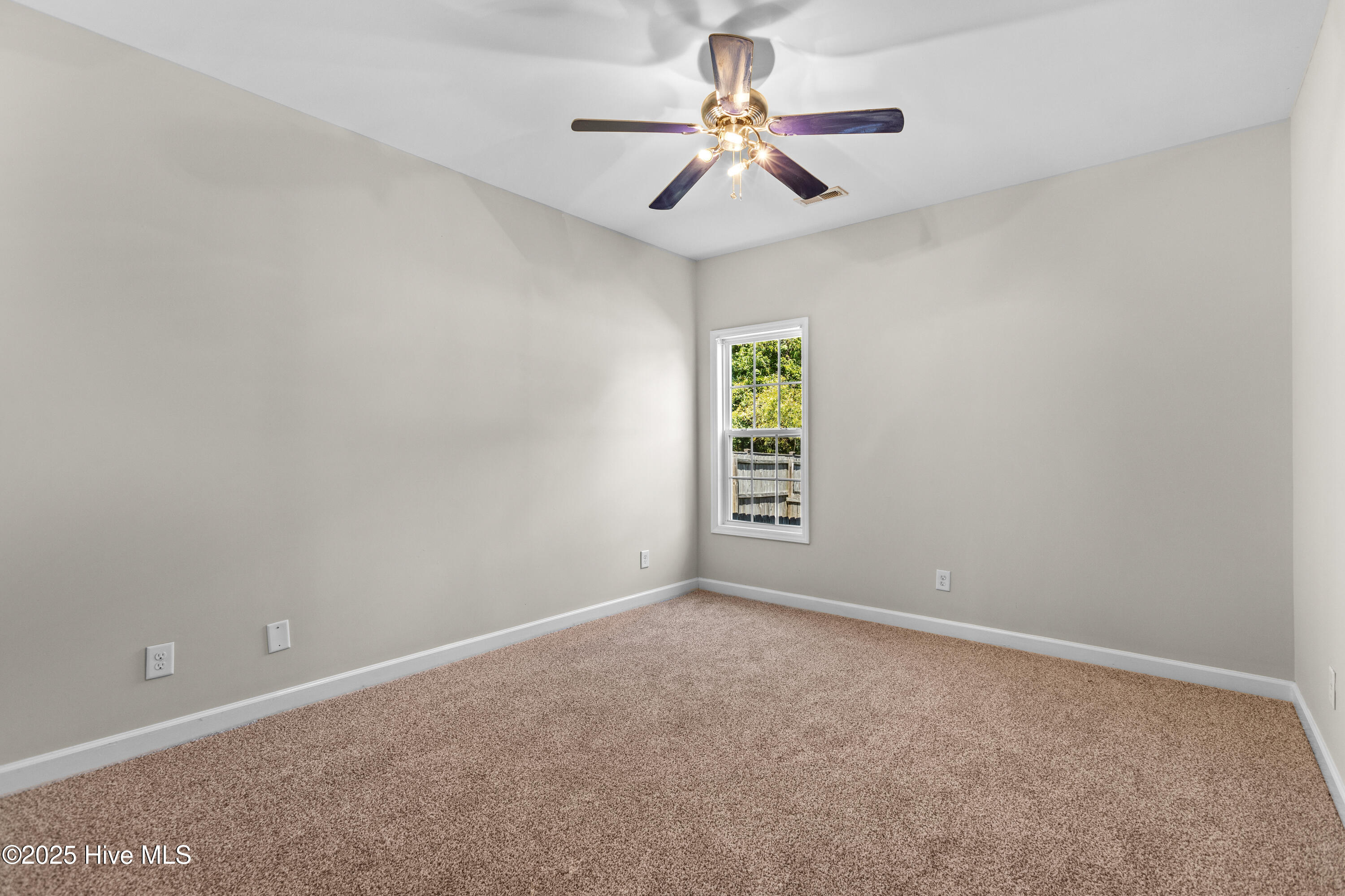 100534668 | Photo 18