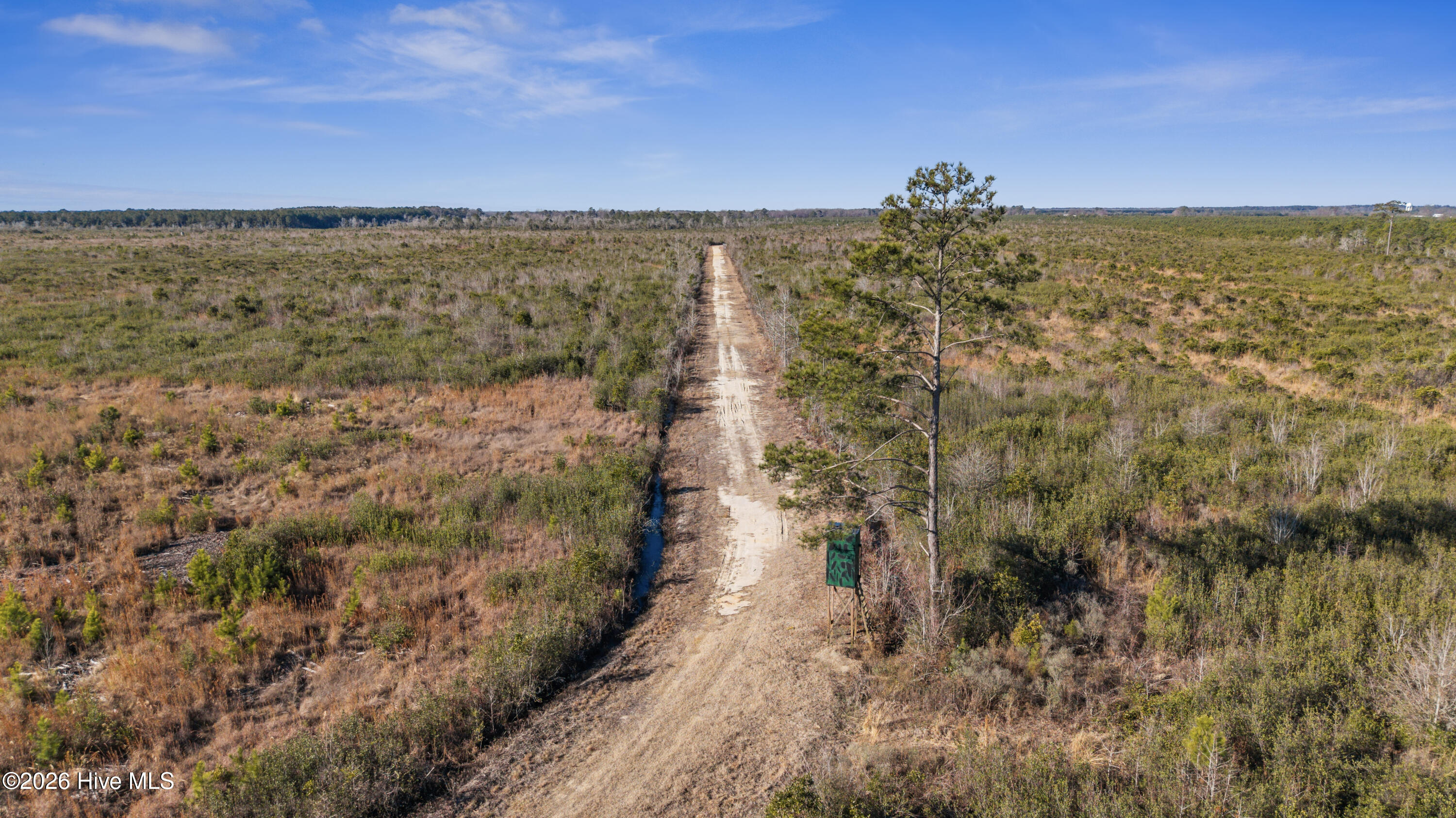Homes for sale in Rose Hill, NC | 700 Acres Earl Davis Rd, Rose Hill, NC 28458 | MLS# 100550886
