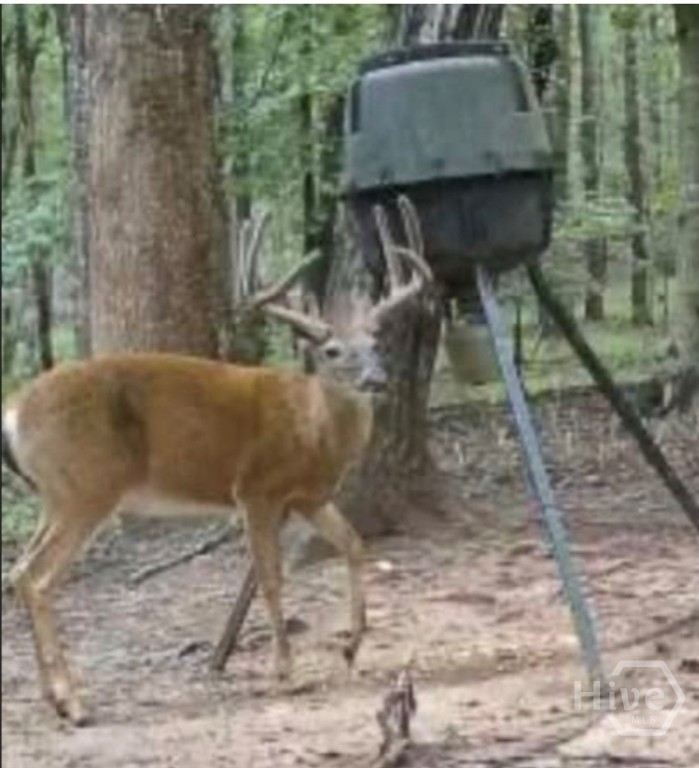 Homes for sale in Comer, GA | 0 Ga Hwy 72, Comer, GA 30629 | MLS# CL344632