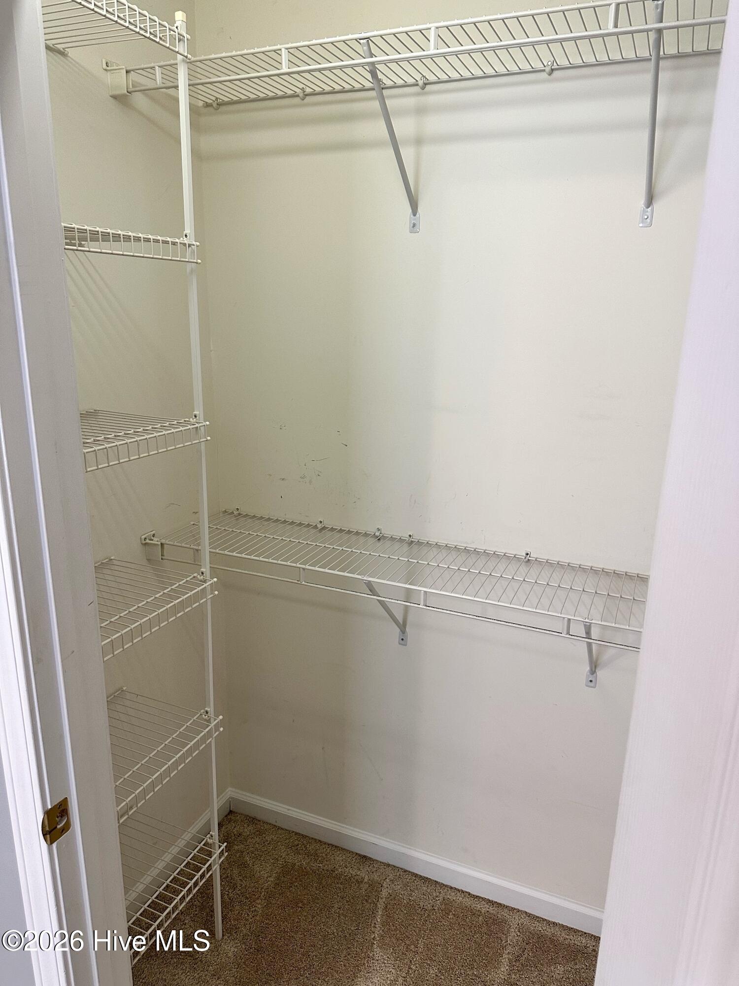 100551305 | Photo 19