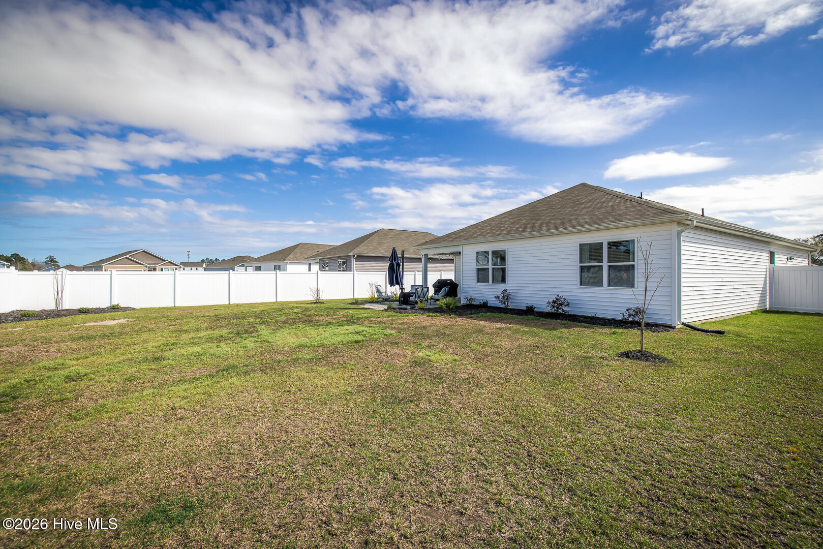 100560328 | Photo 24