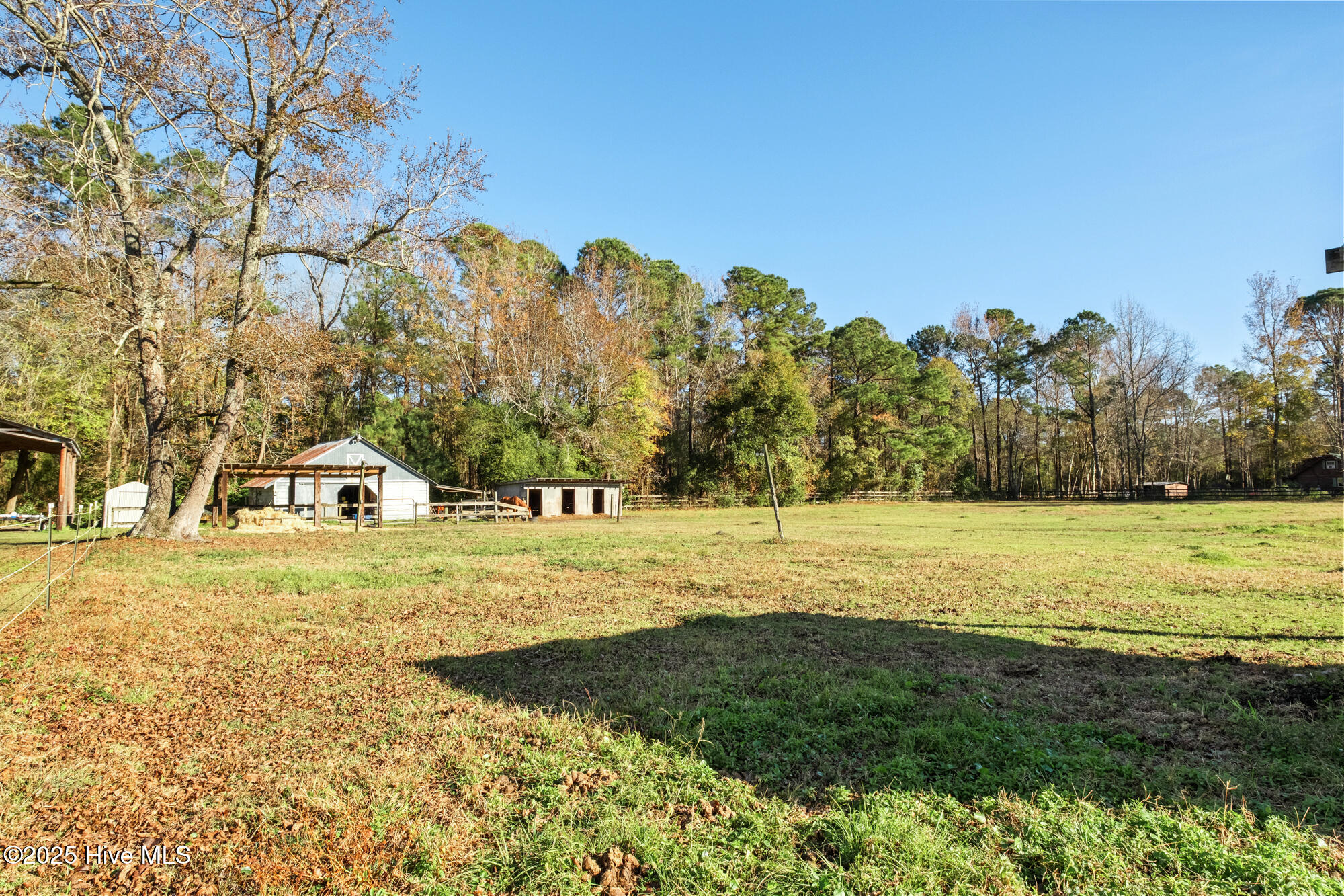 100542459 | Photo 30