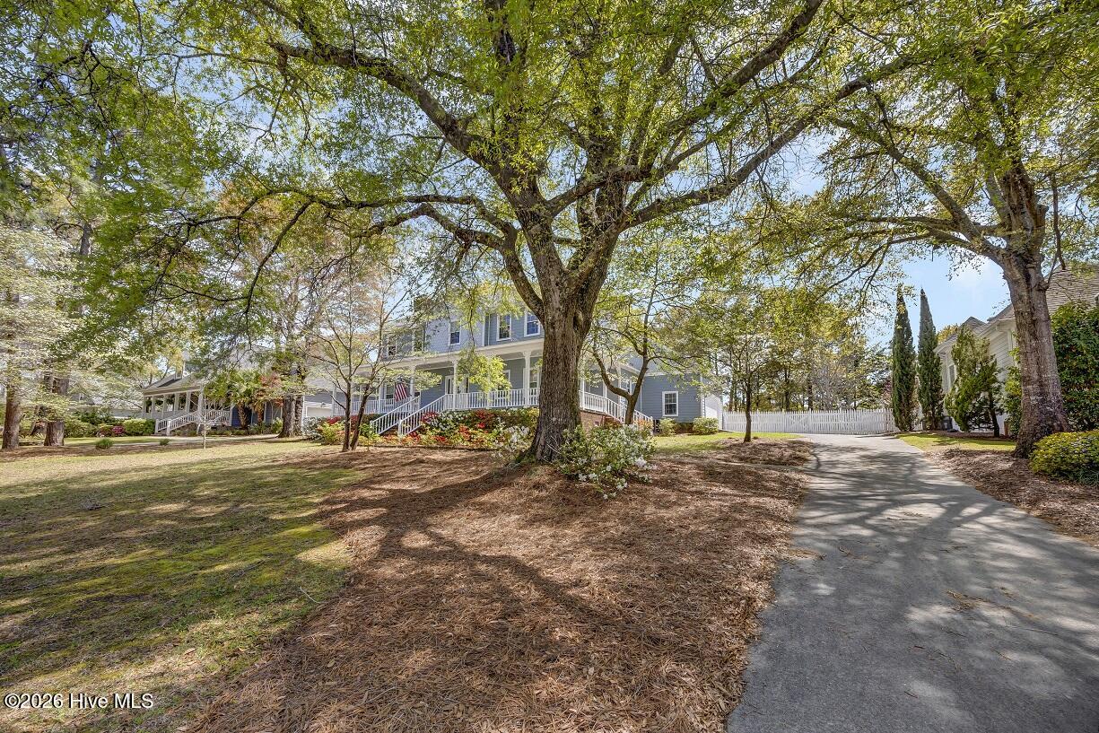 100565021 | Photo 39