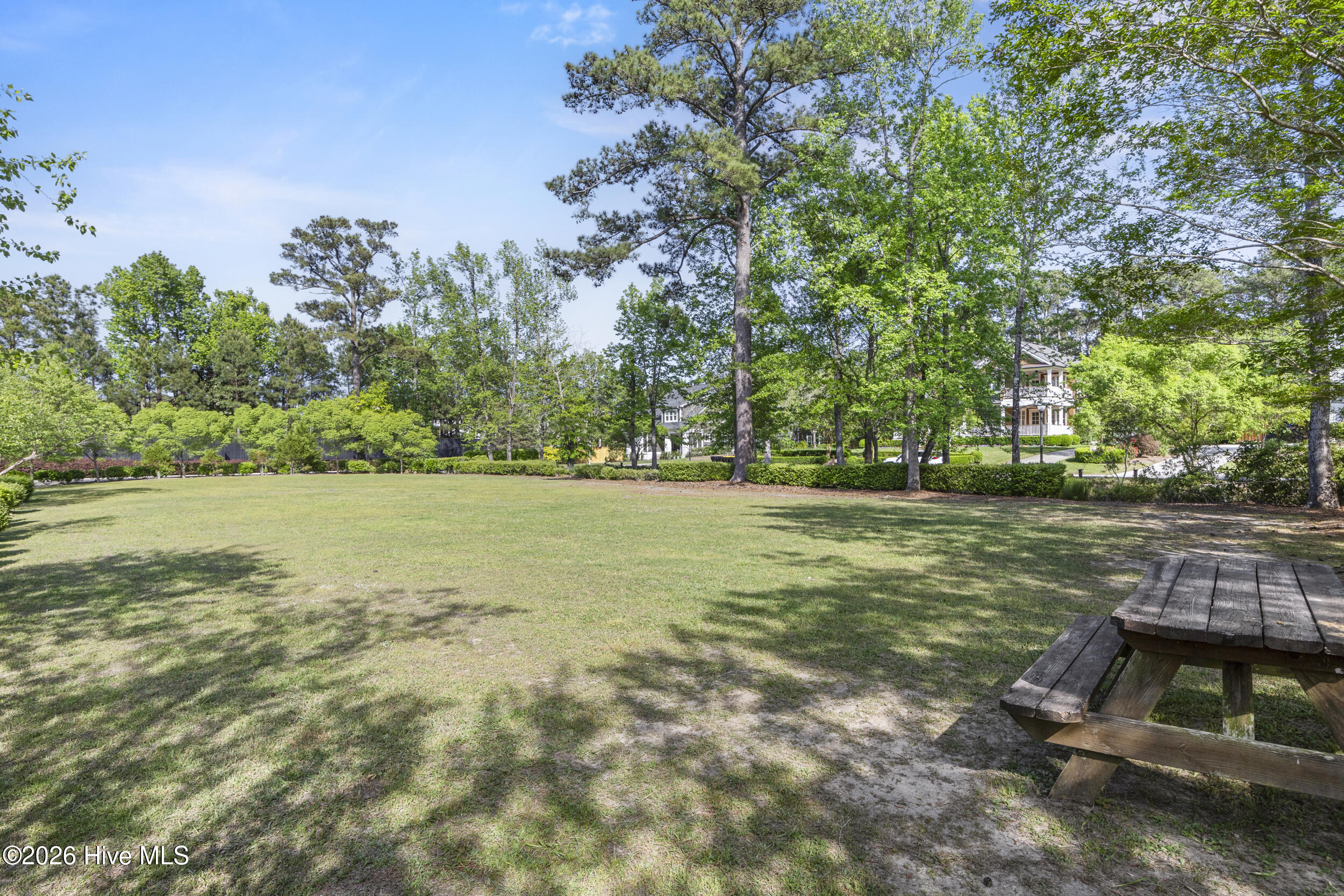 100567913 | Photo 58