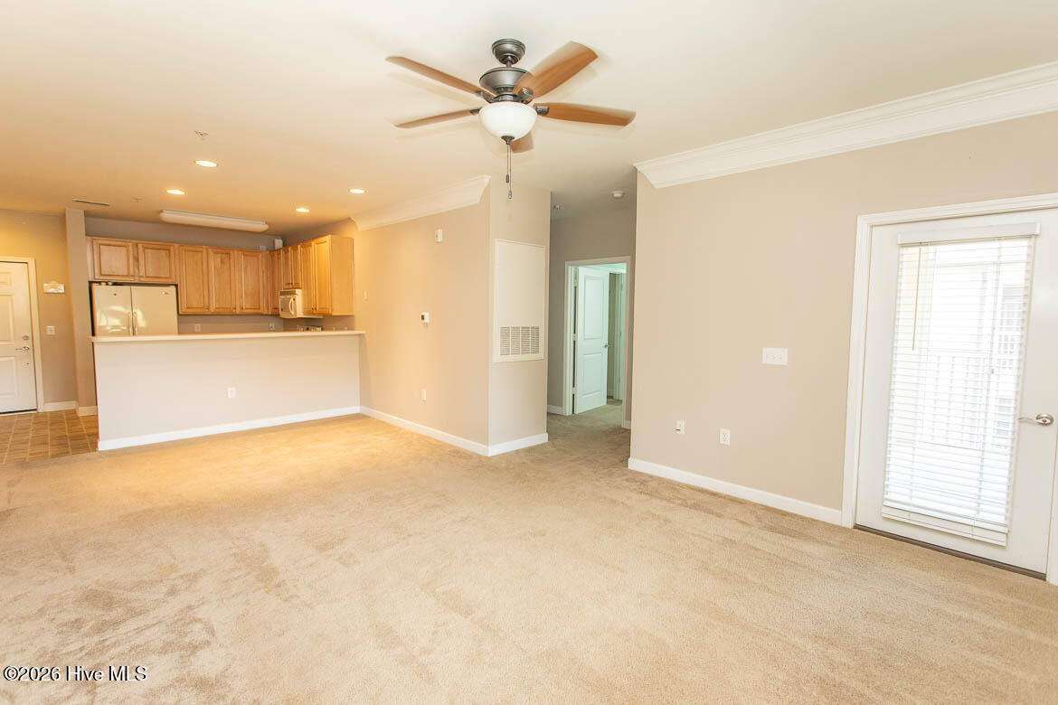 100564838 | Photo 16