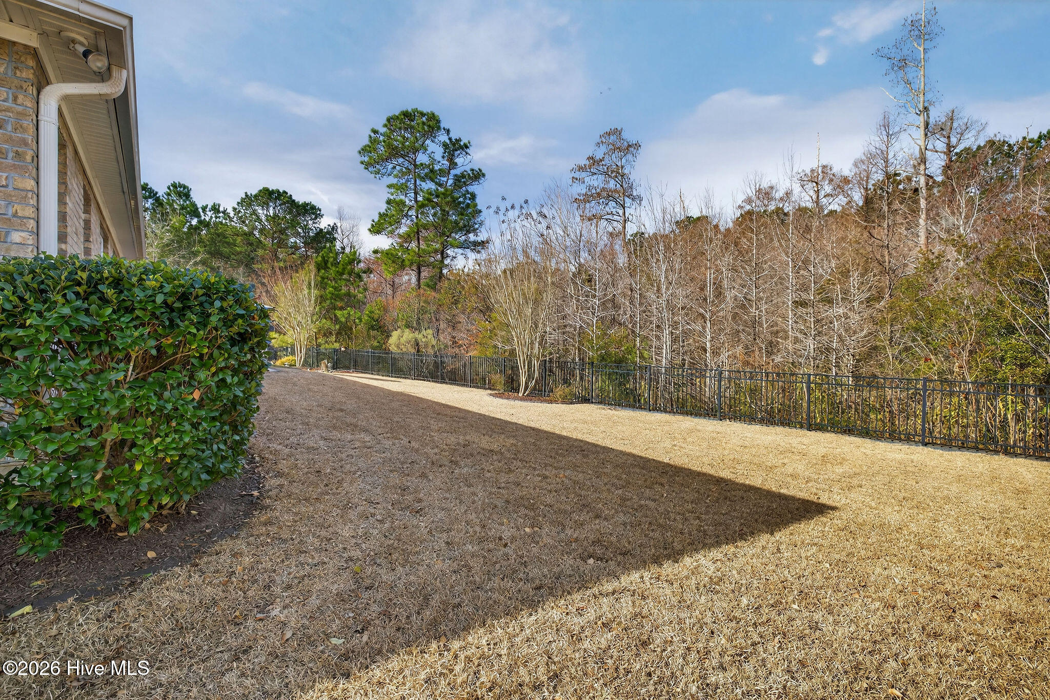 100558265 | Photo 54