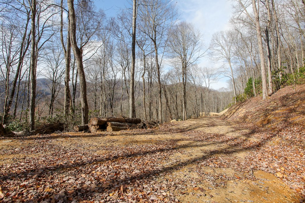 Exterior photo of Lot 20 Walnut Cove Branch, Robbinsville, NC 28771. MLS: 98543902