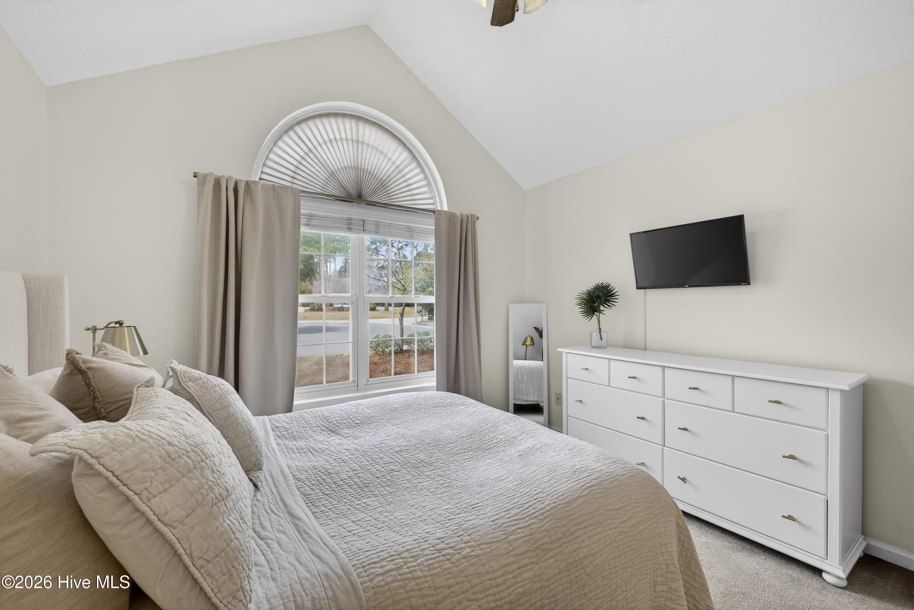 100555851 | Photo 17