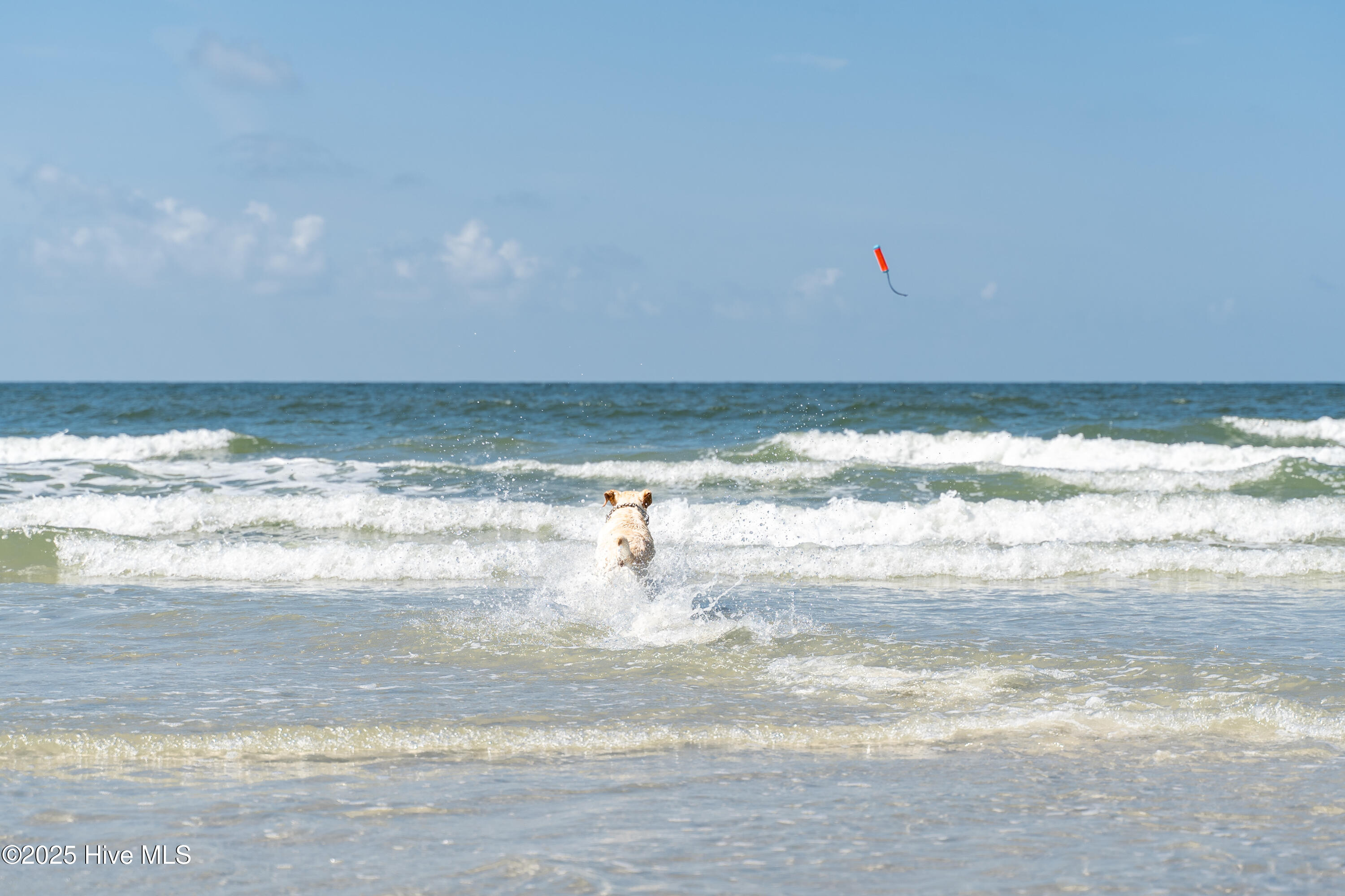 100545908 | Photo 83