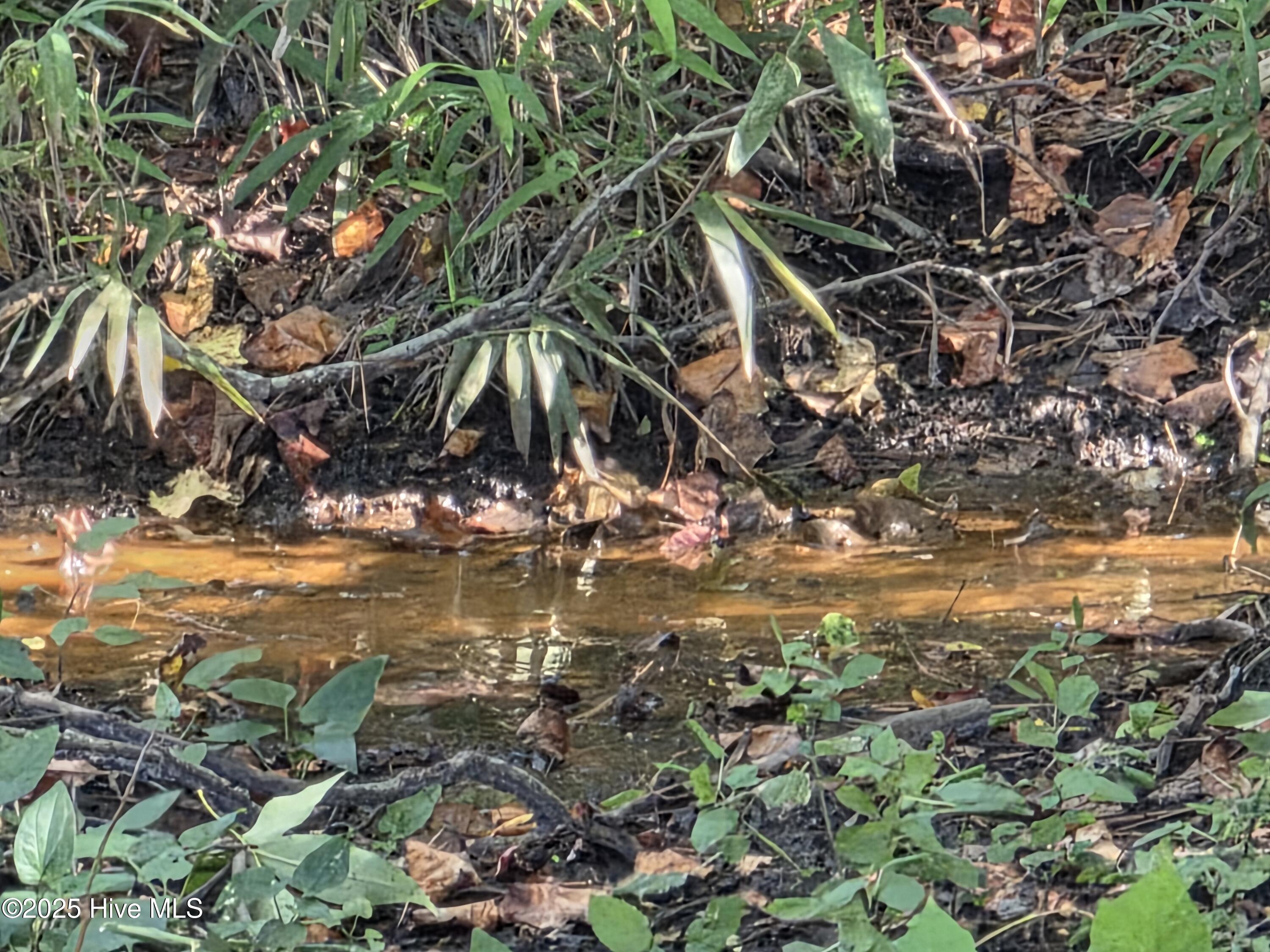 100564274 | Photo 34