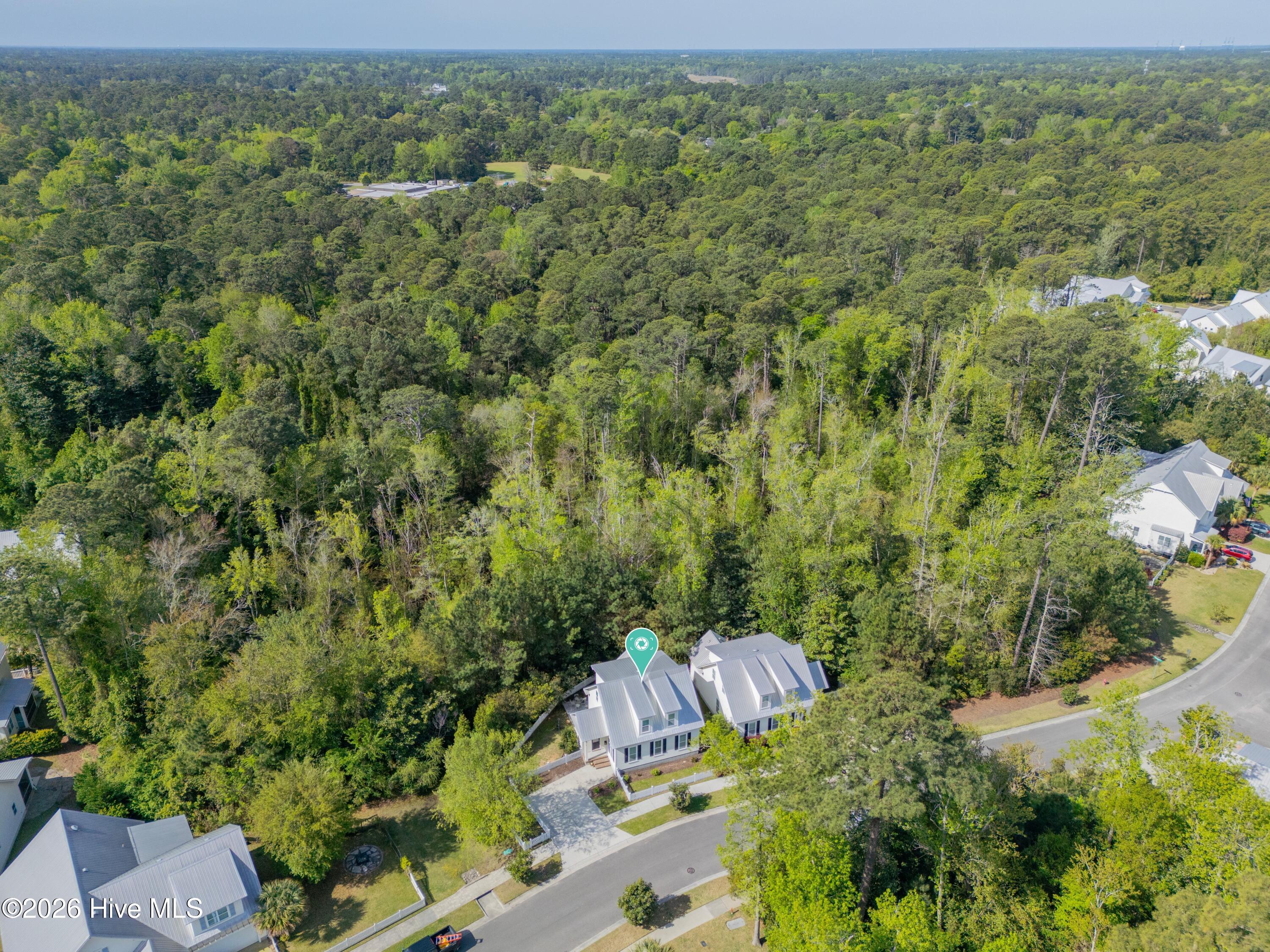 100567023 | Photo 30