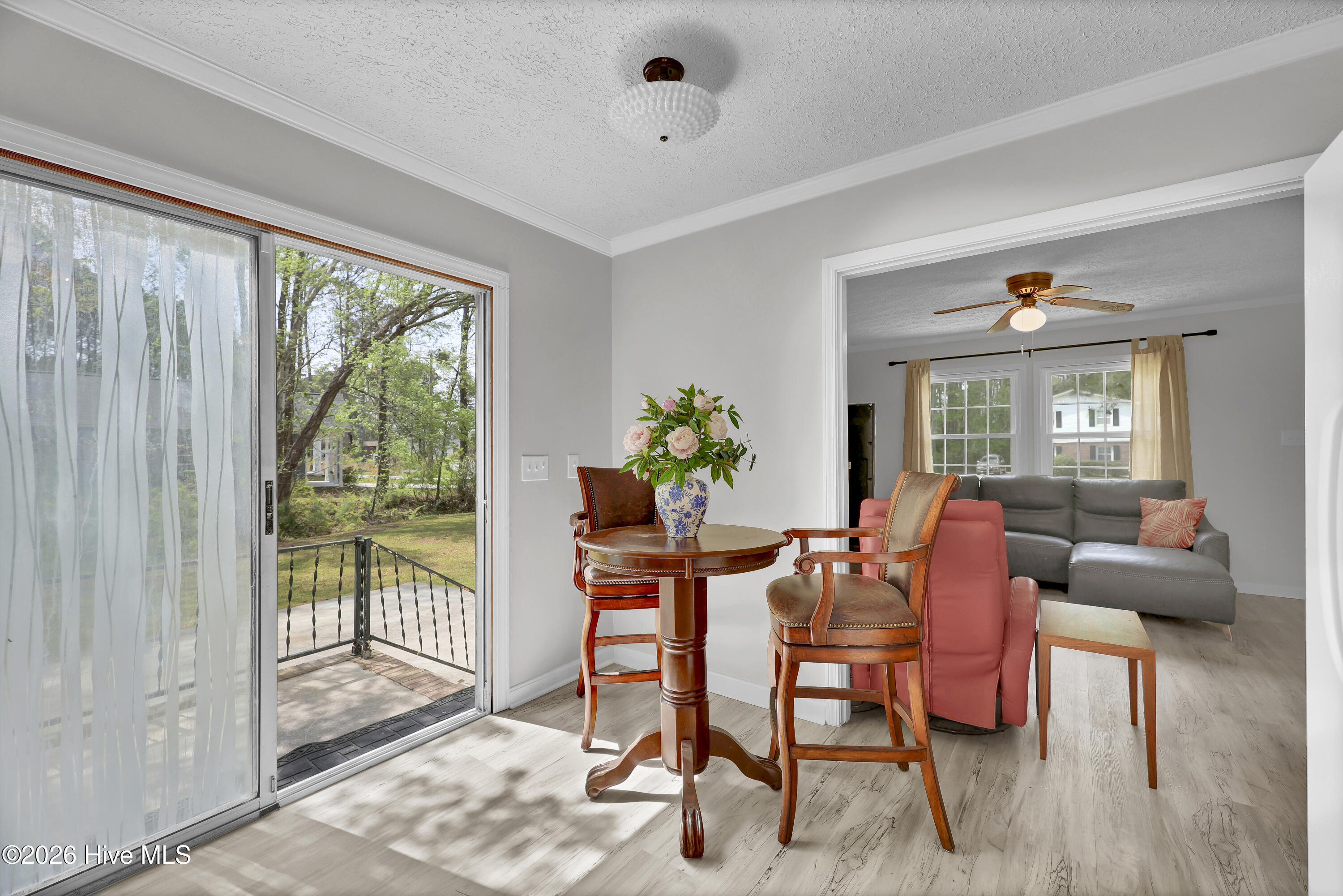 100564655 | Photo 13