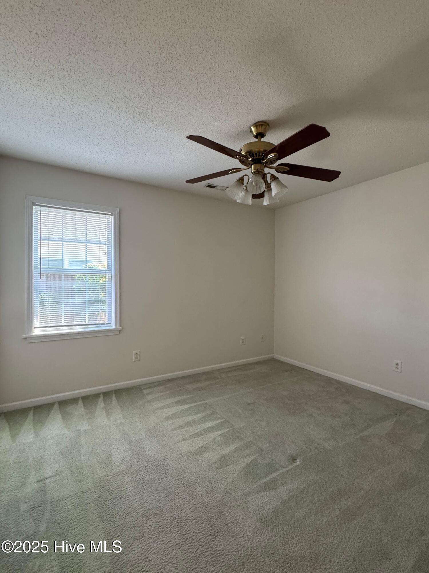 100539298 | Photo 20