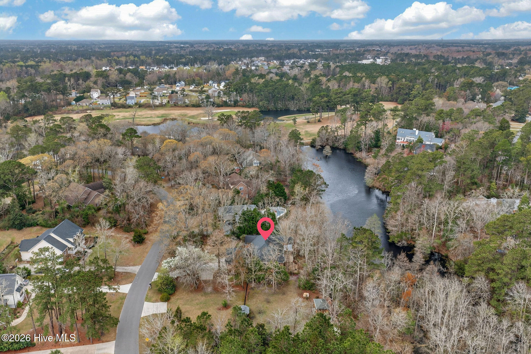 100556345 | Photo 61