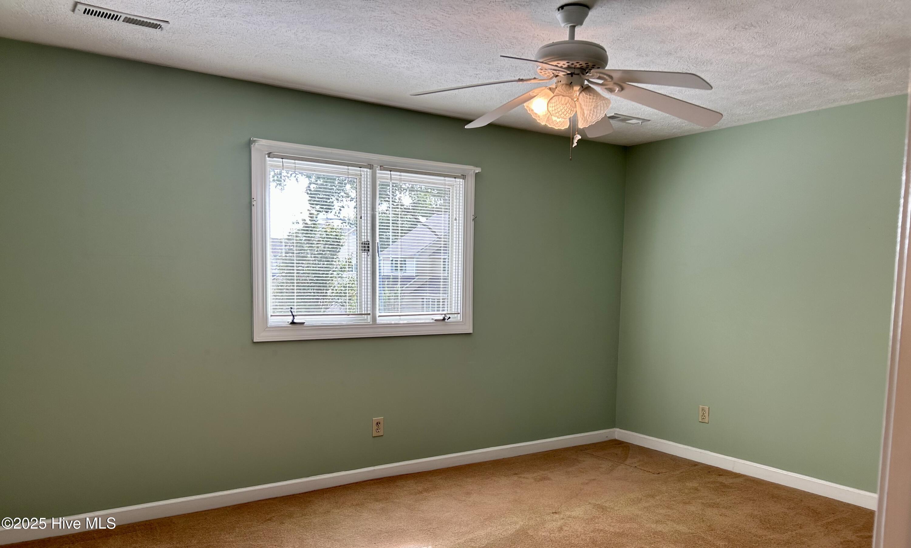 100532166 | Photo 23