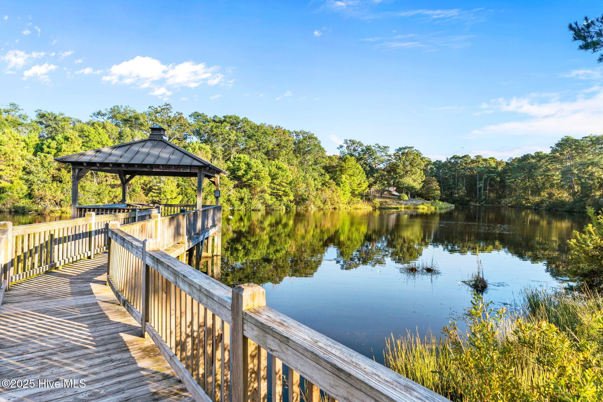 100532688 | Photo 52