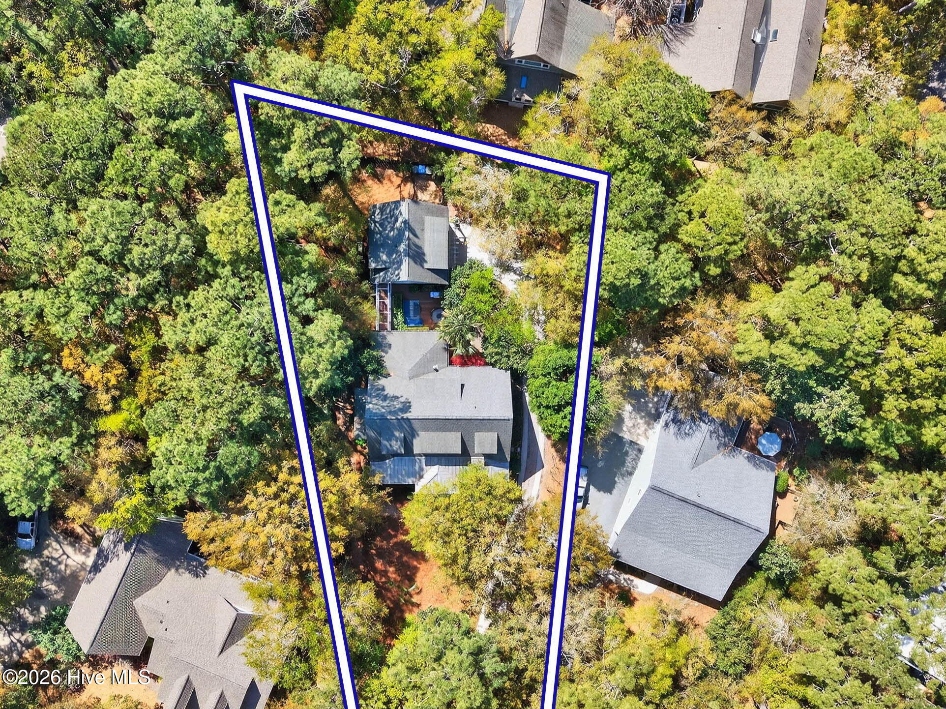 100564993 | Photo 49