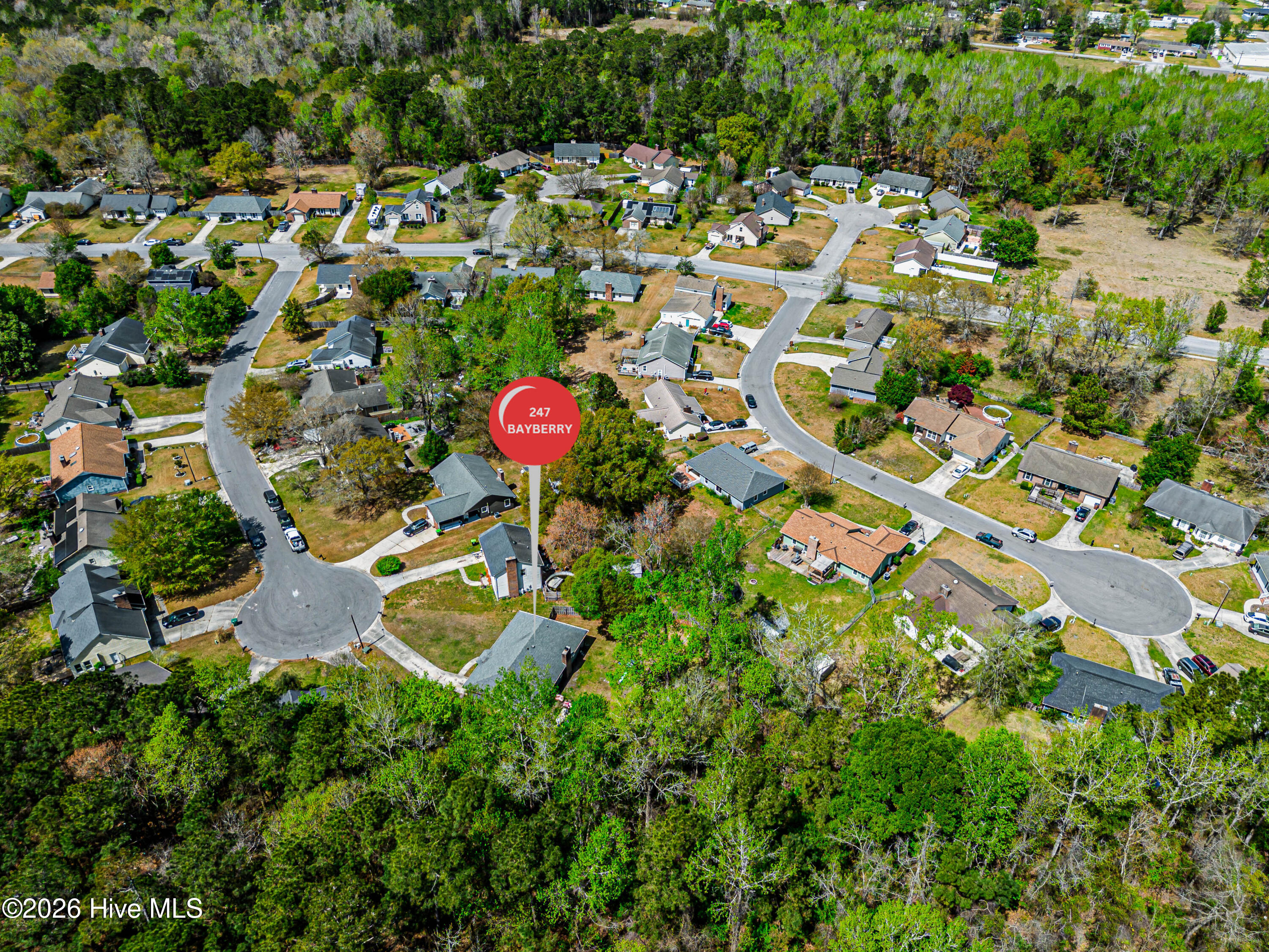 100569074 | Photo 68