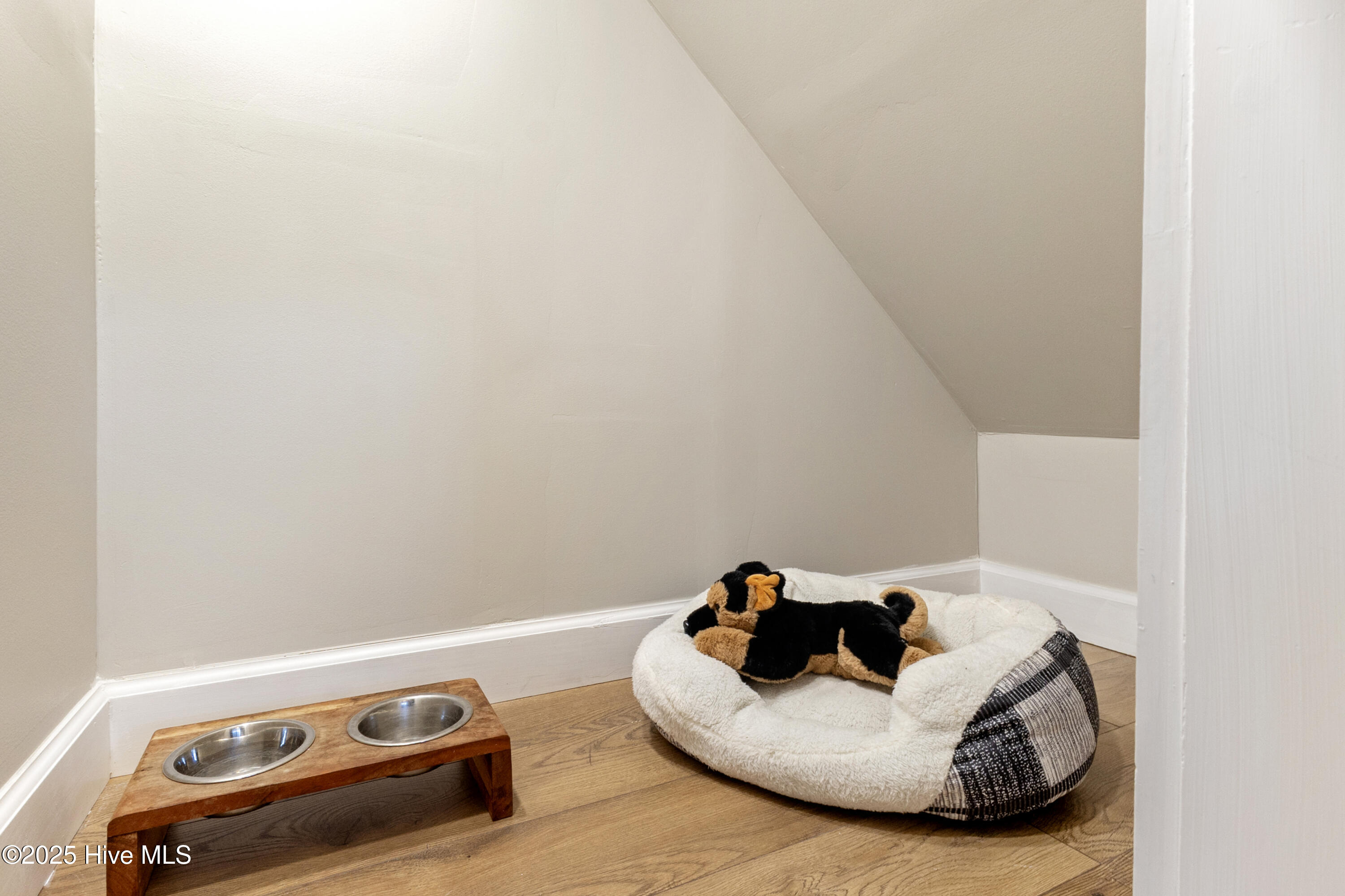 100543639 | Photo 11