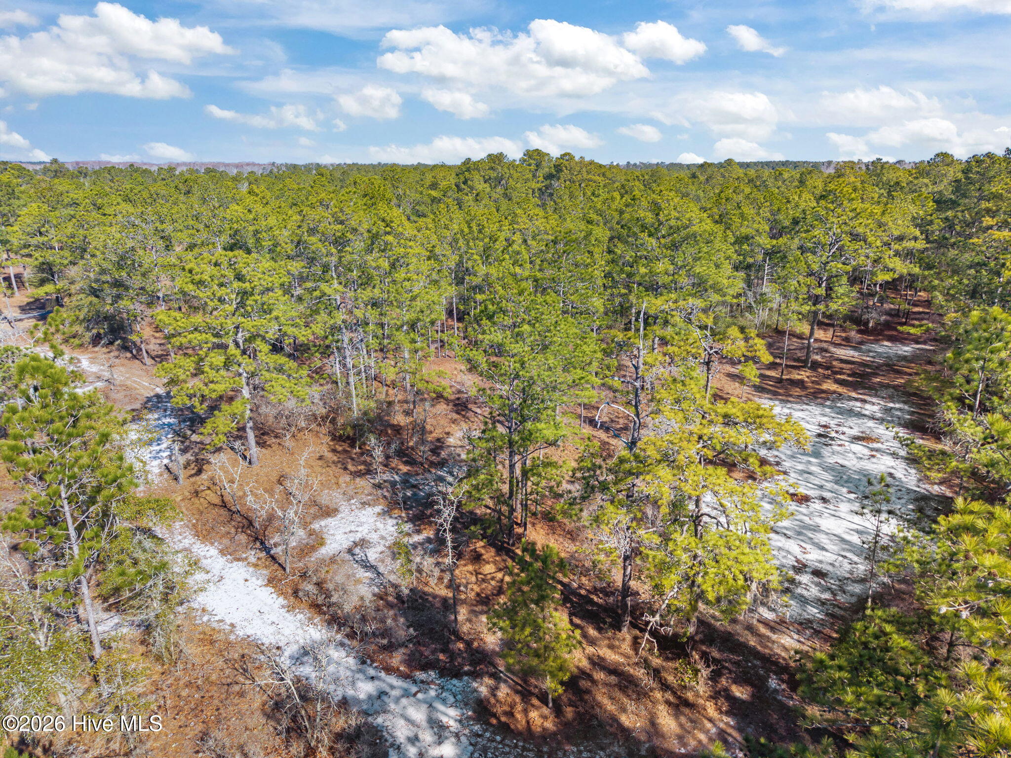 100554488 | Photo 18