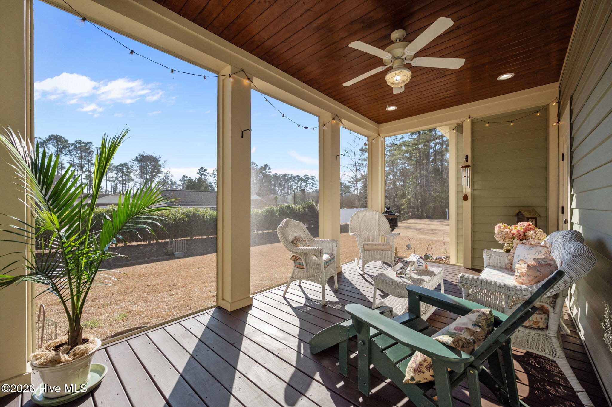 100546497 | Photo 13