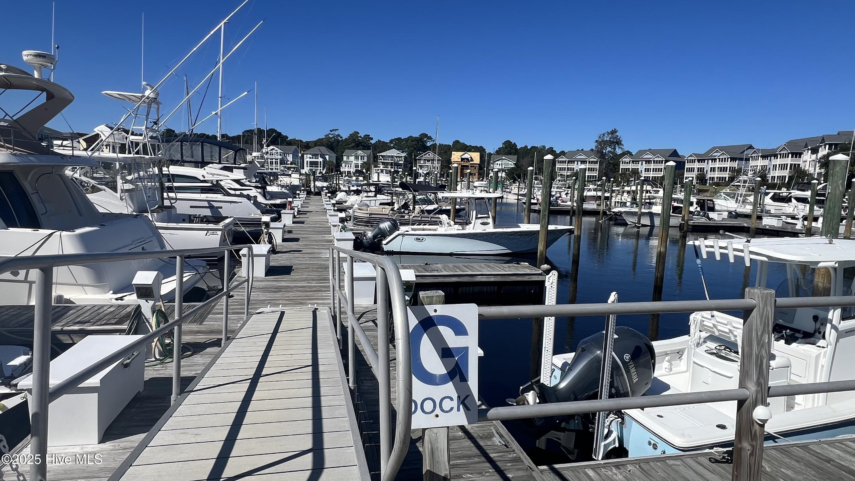 100537325 | Photo 15