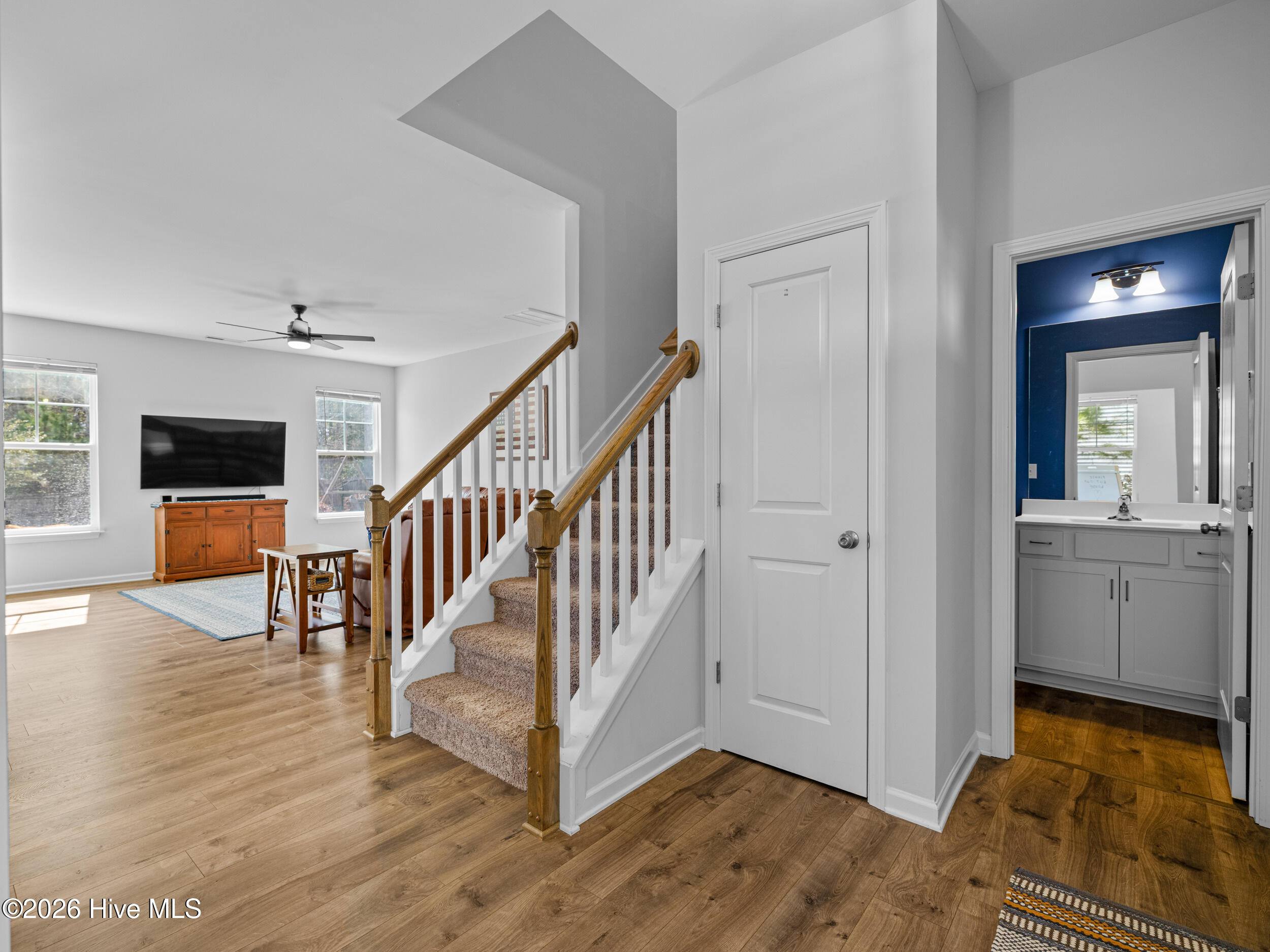 100557695 | Photo 19