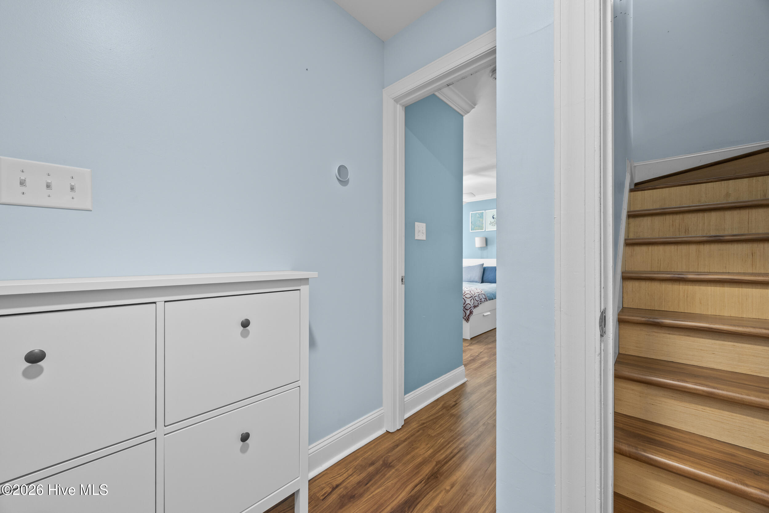 100567531 | Photo 25