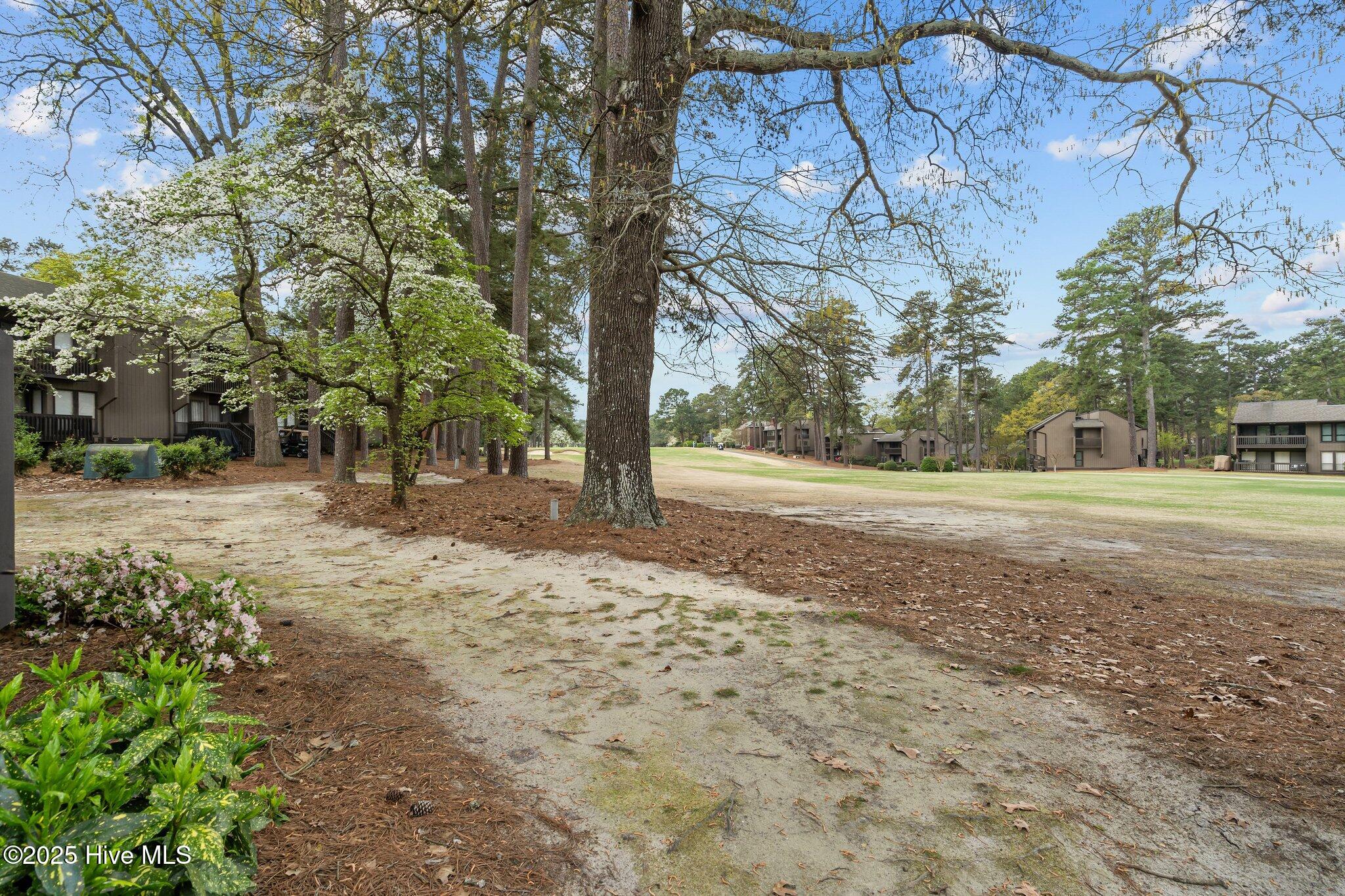 5 Pine Tree Road 211
