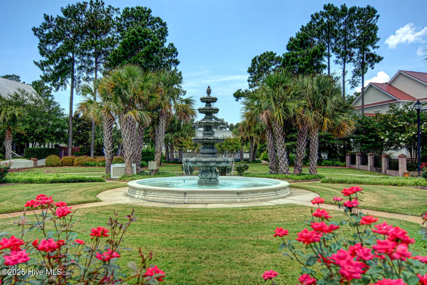 100504953 | Photo 48