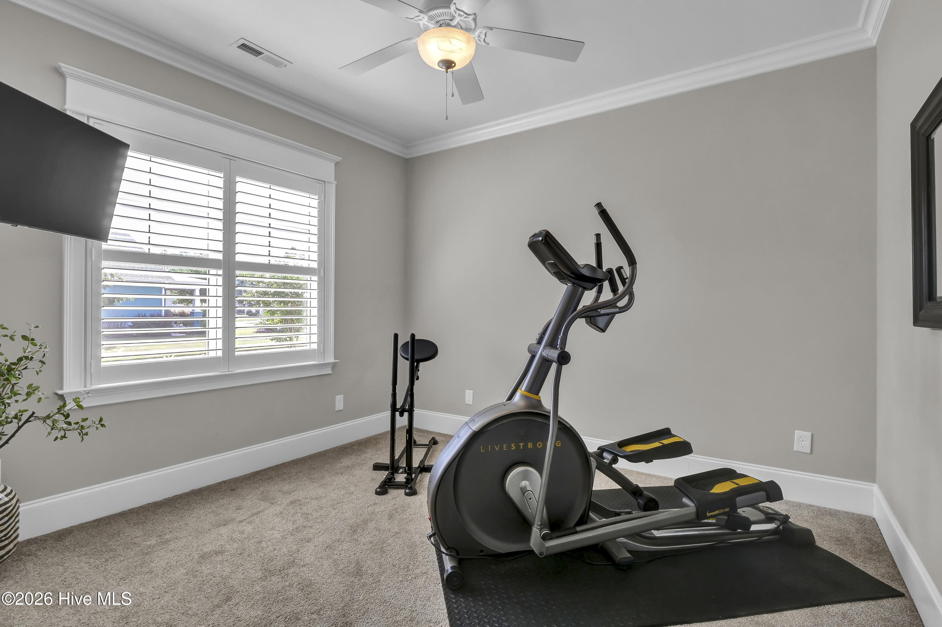 100569148 | Photo 31