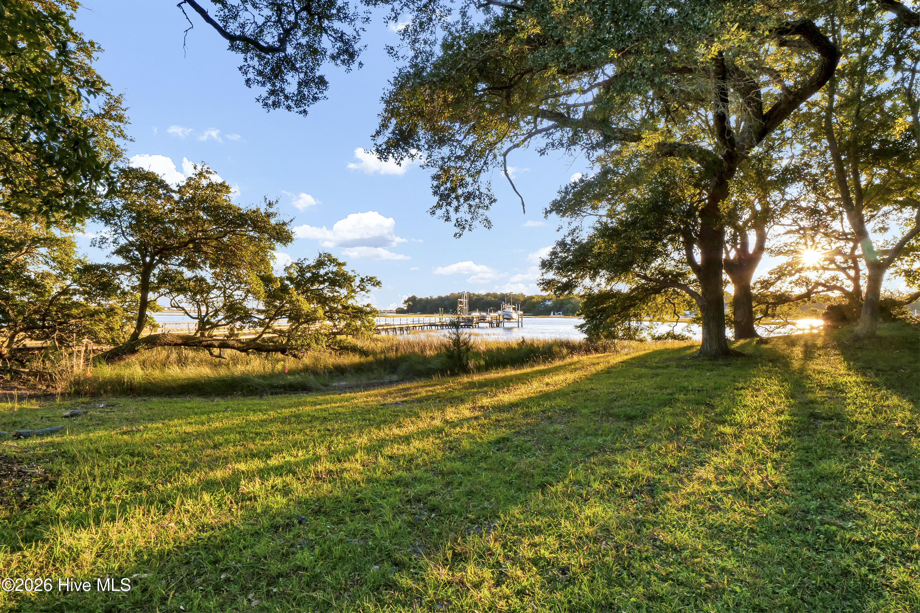 100563233 | Photo 11