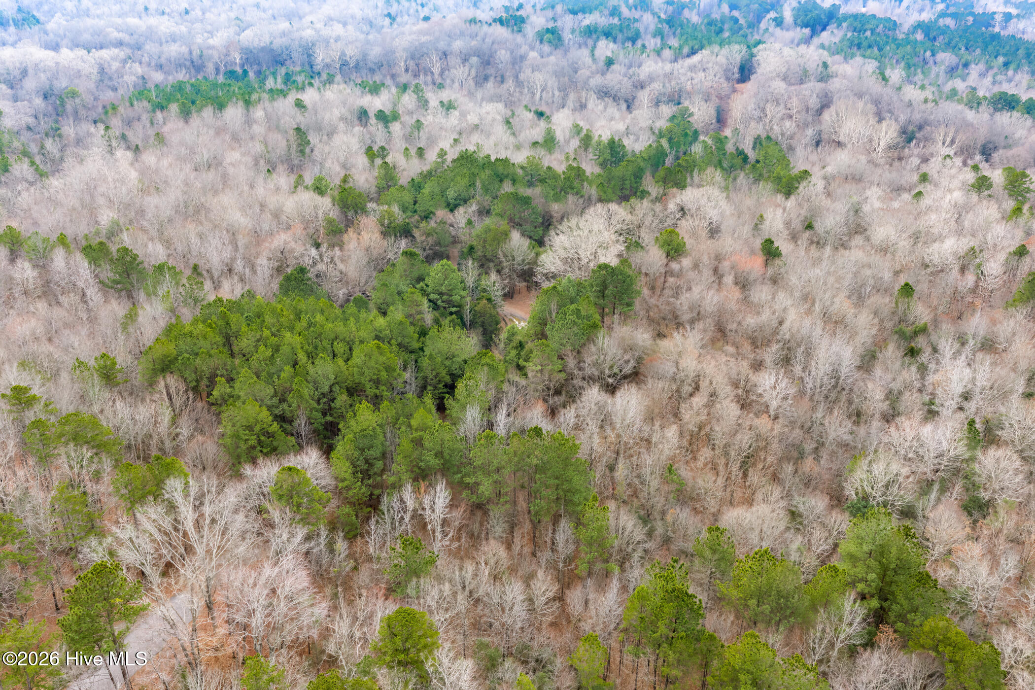 Homes for sale in Robbins, NC | Lot 4 Leaman Rd, Robbins, NC 27325 | MLS# 100499448