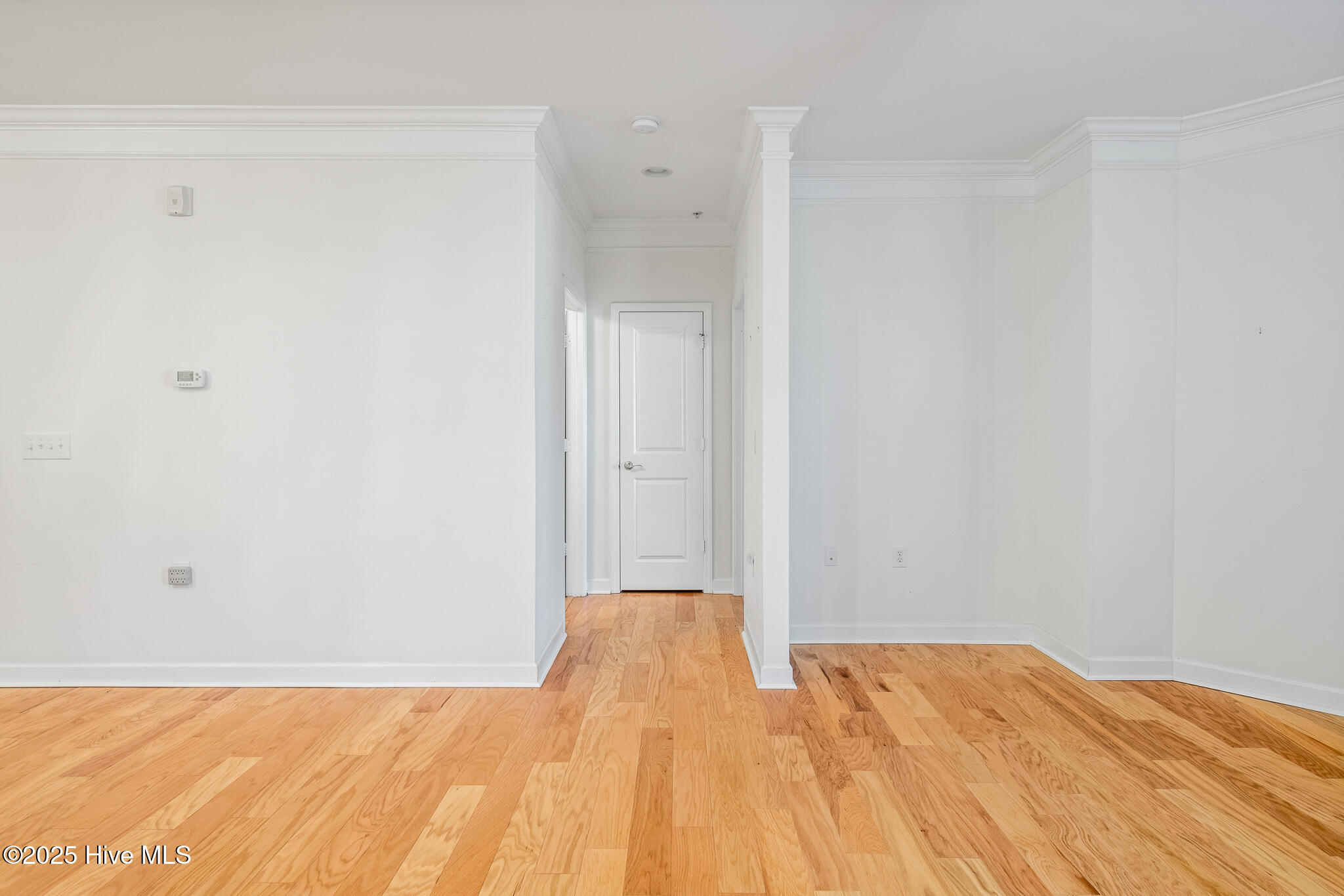 100546271 | Photo 17