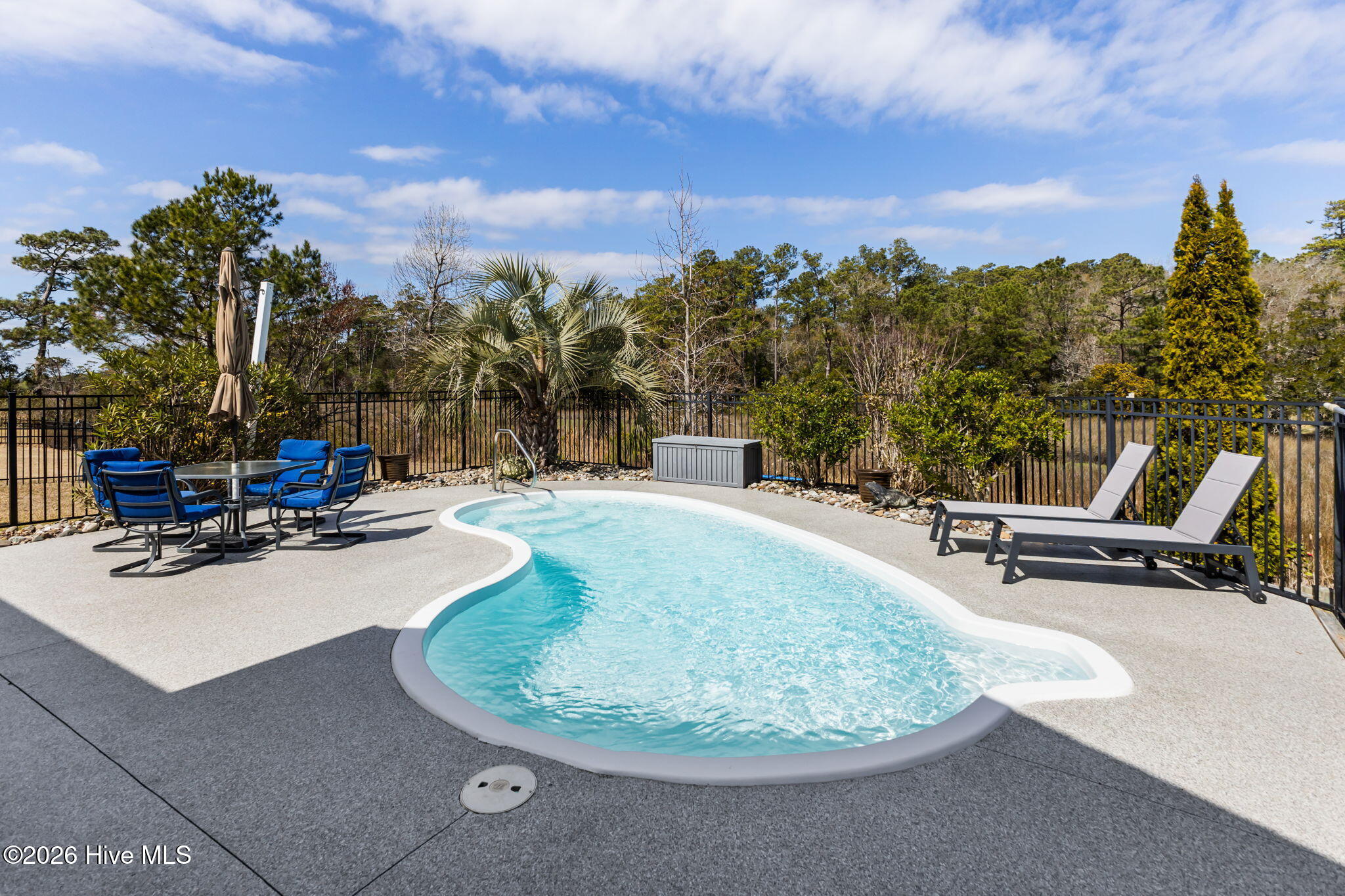 100560213 | Photo 35