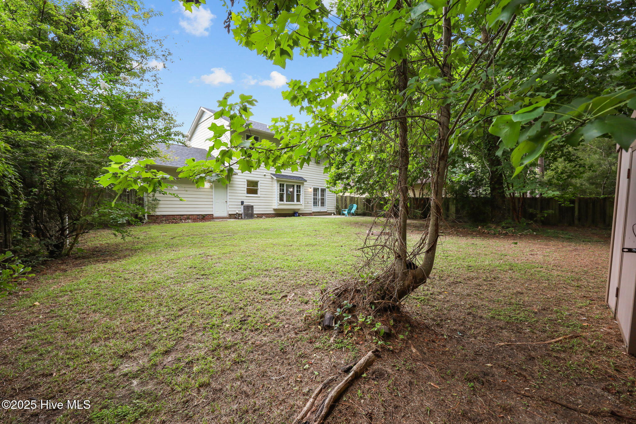 100546083 | Photo 17