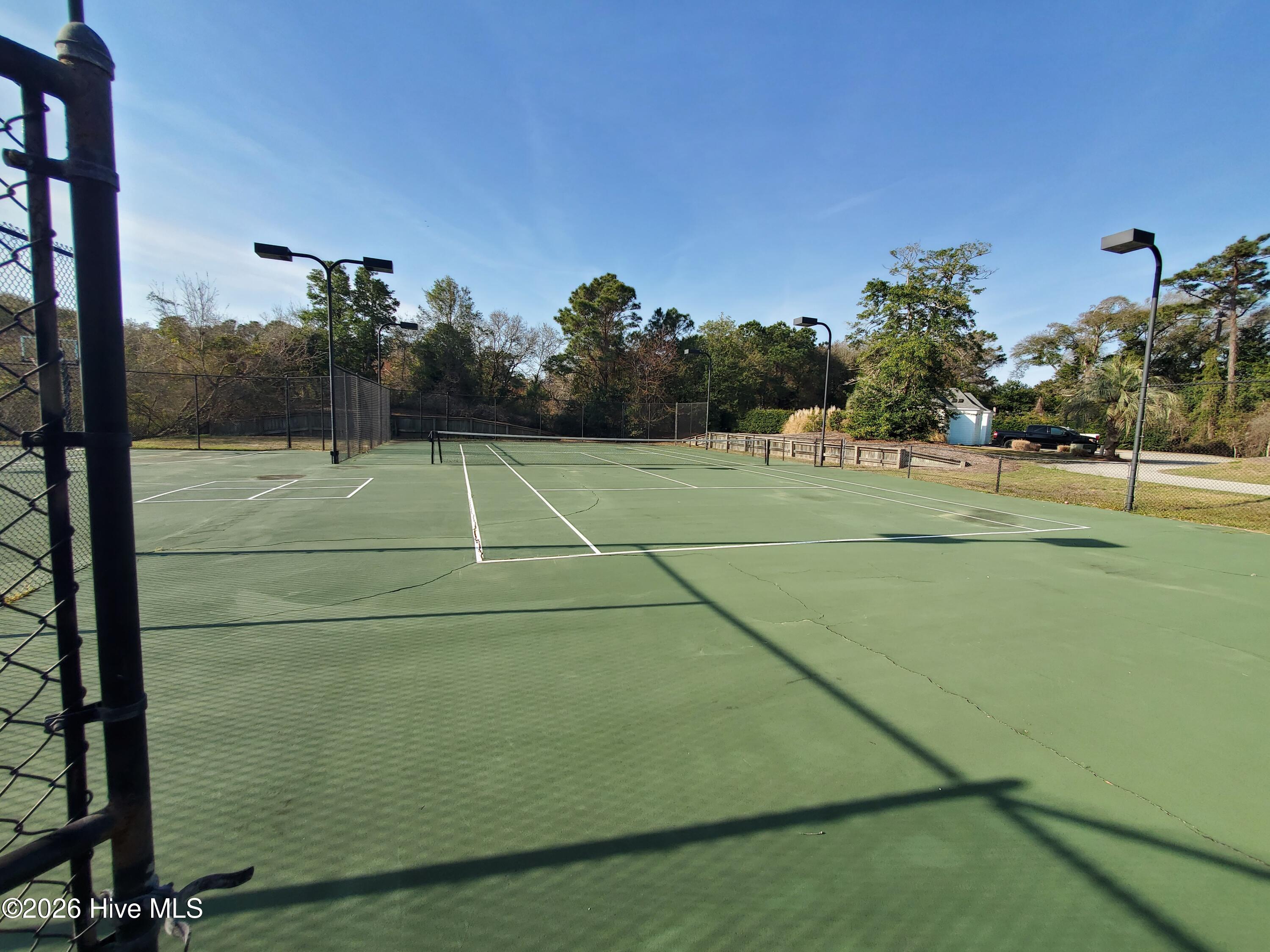 100560491 | Photo 64