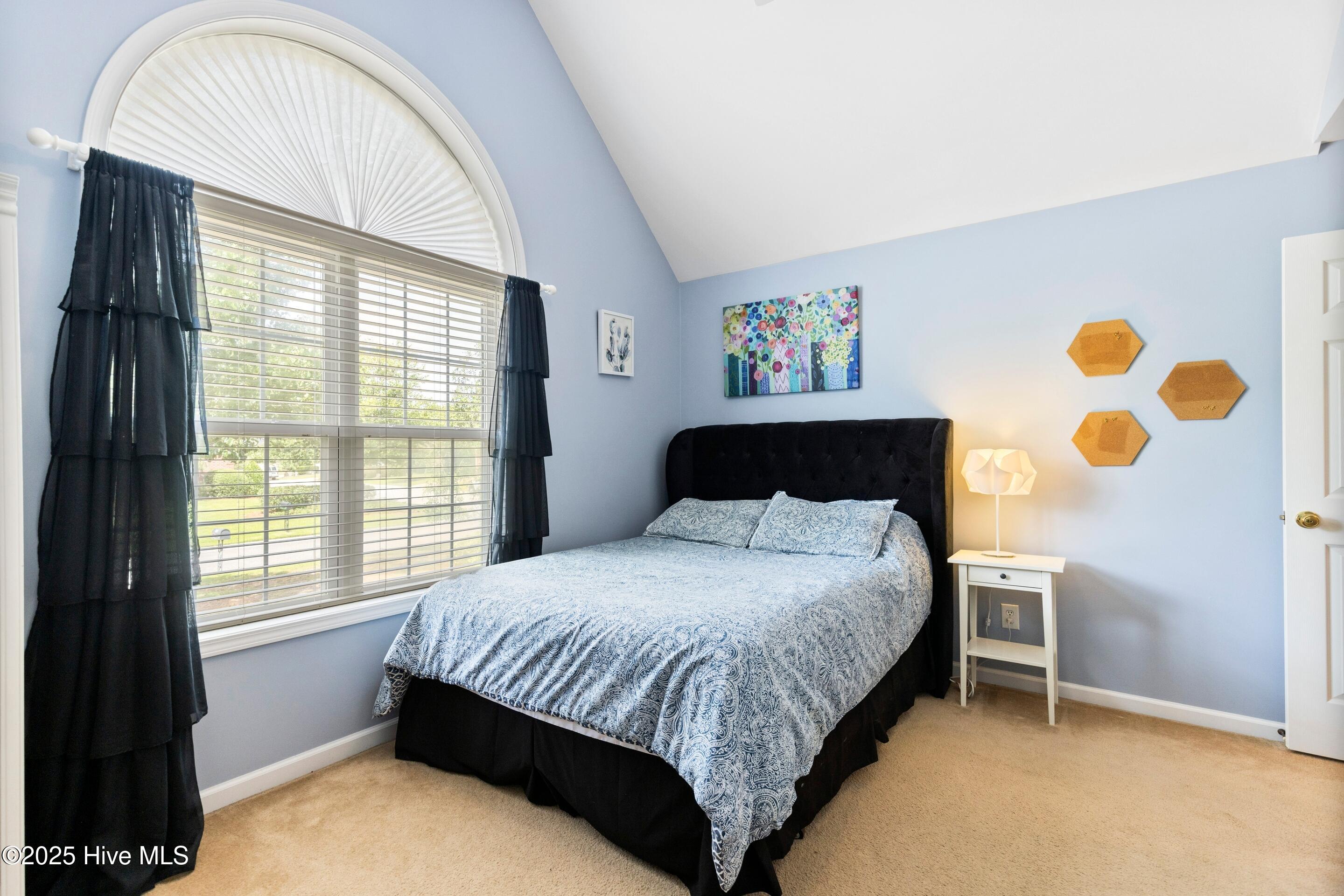 100519382 | Photo 37