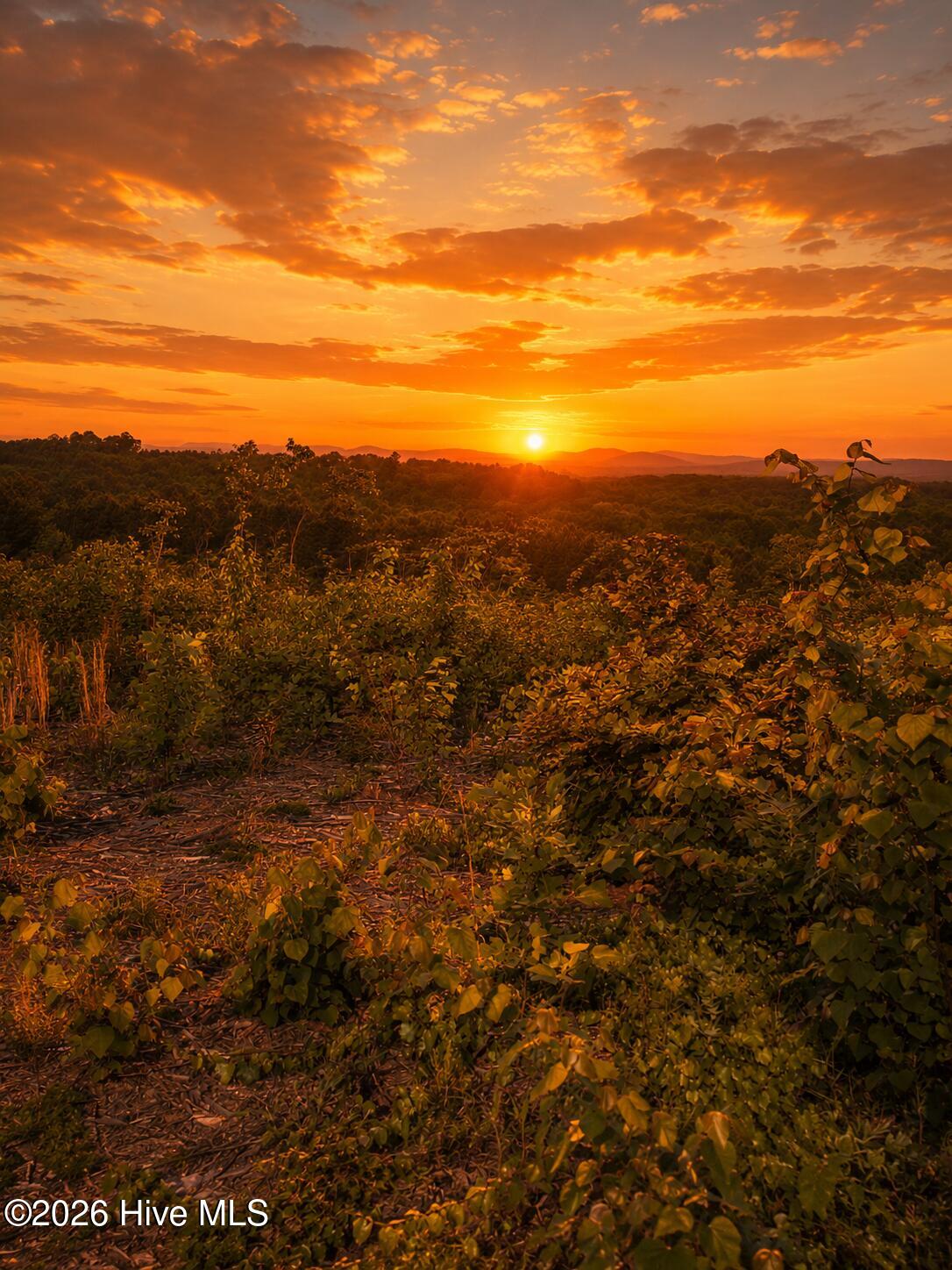 sunset skeen view