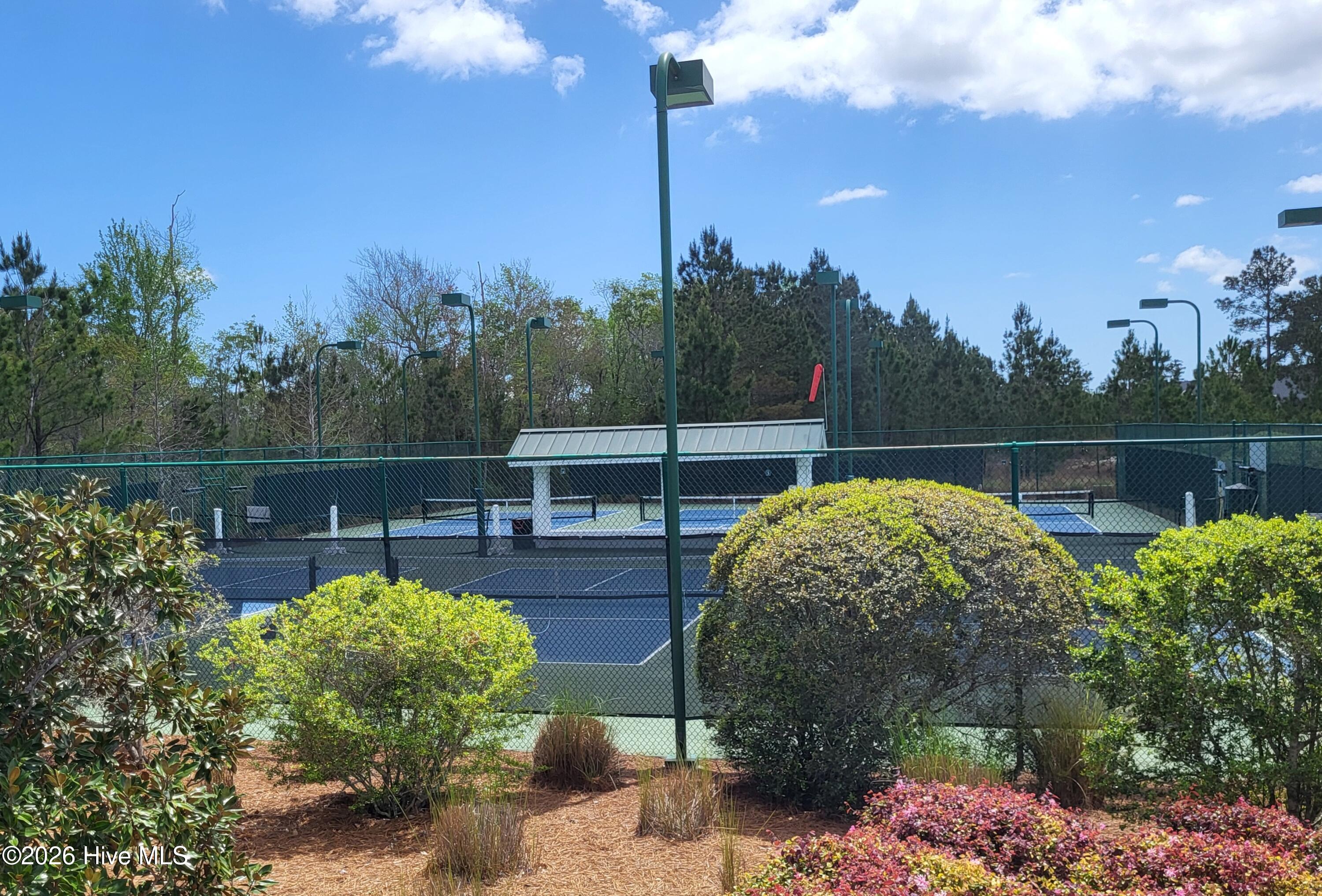 100564623 | Photo 37