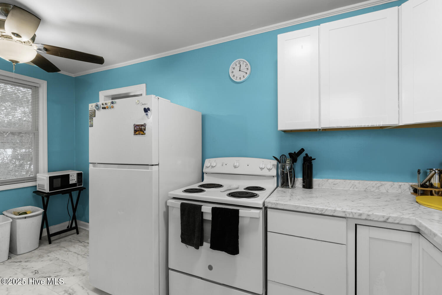 100535503 | Photo 10