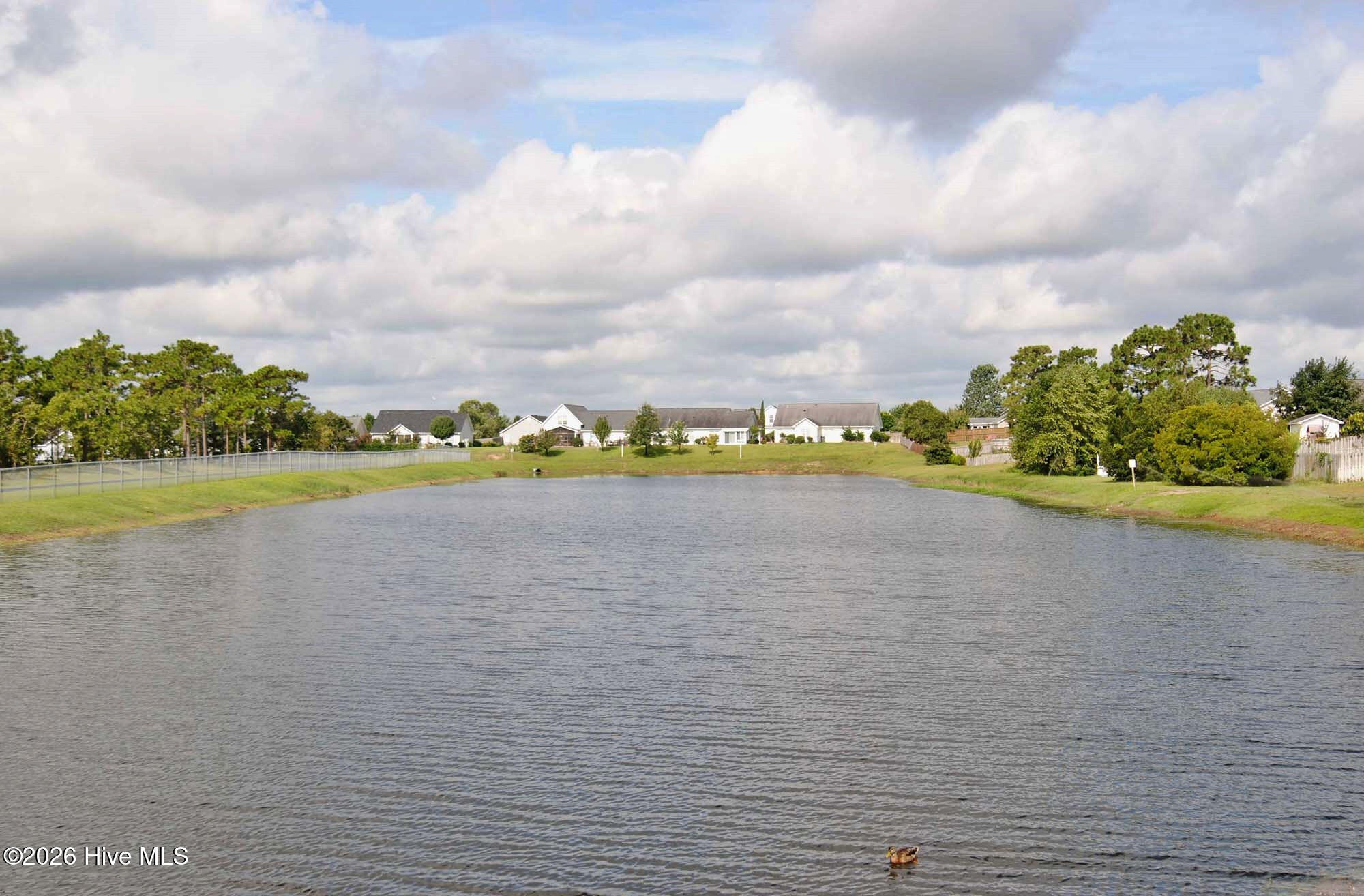 100567881 | Photo 51