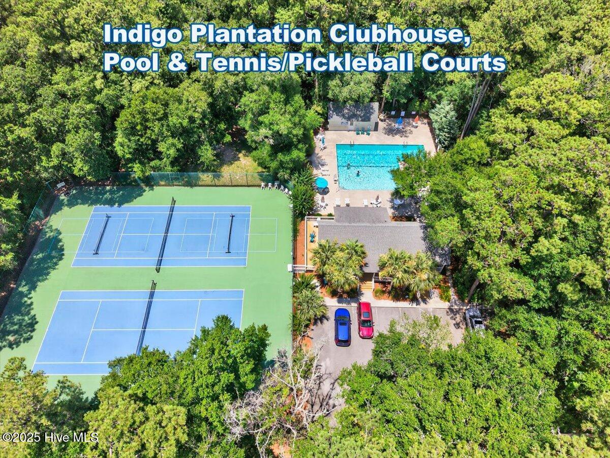 100518742 | Photo 51