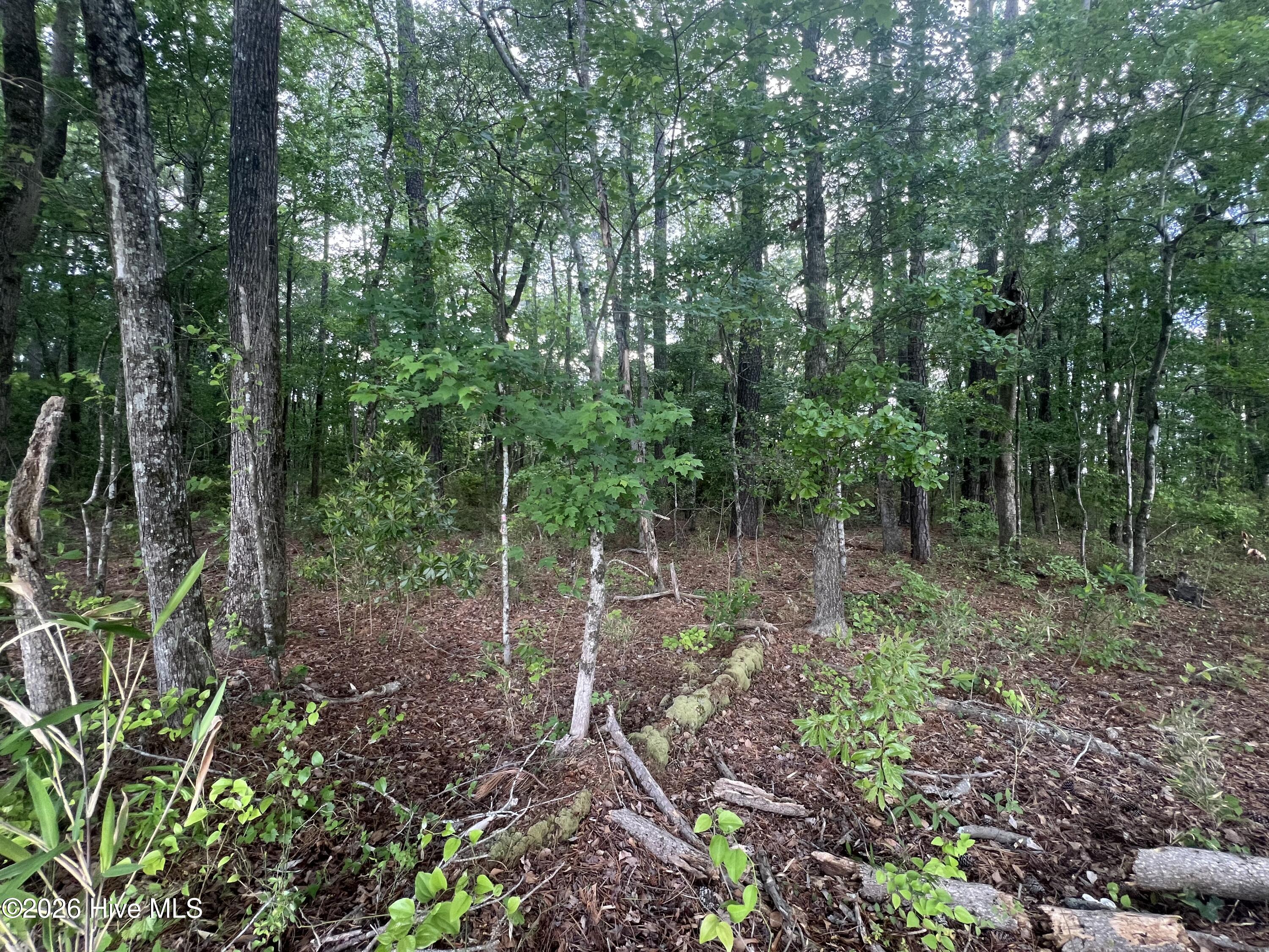 4599 Nc-30, Stokes, NC, 27884